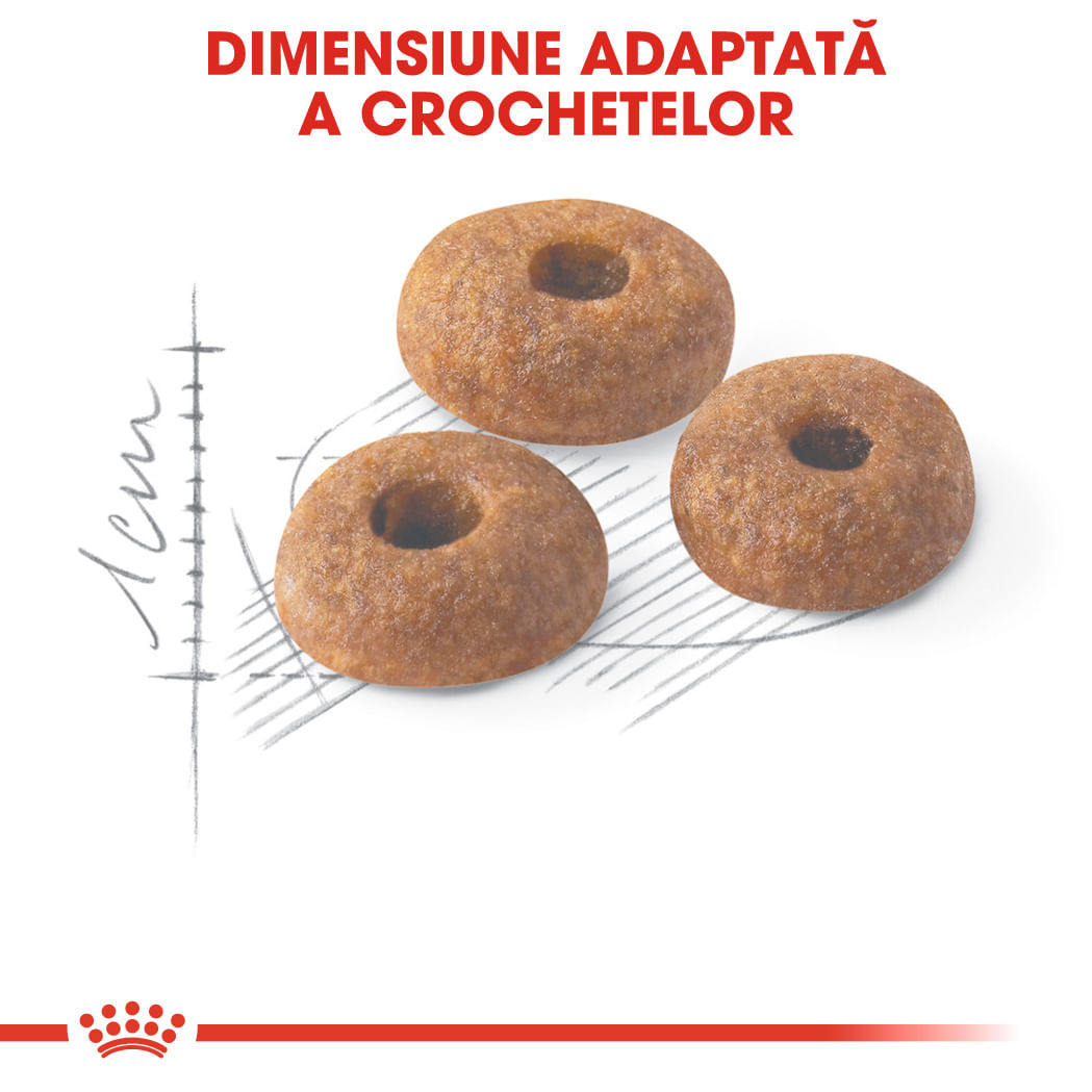 ROYAL CANIN Fit32 Adult, hrană uscată pisici, activitate fizică moderată, 400g
