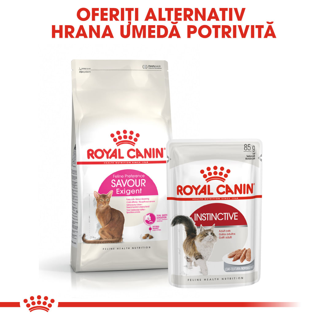 ROYAL CANIN Exigent Savour Adult, hrană uscată pisici, apetit capricios, 400g