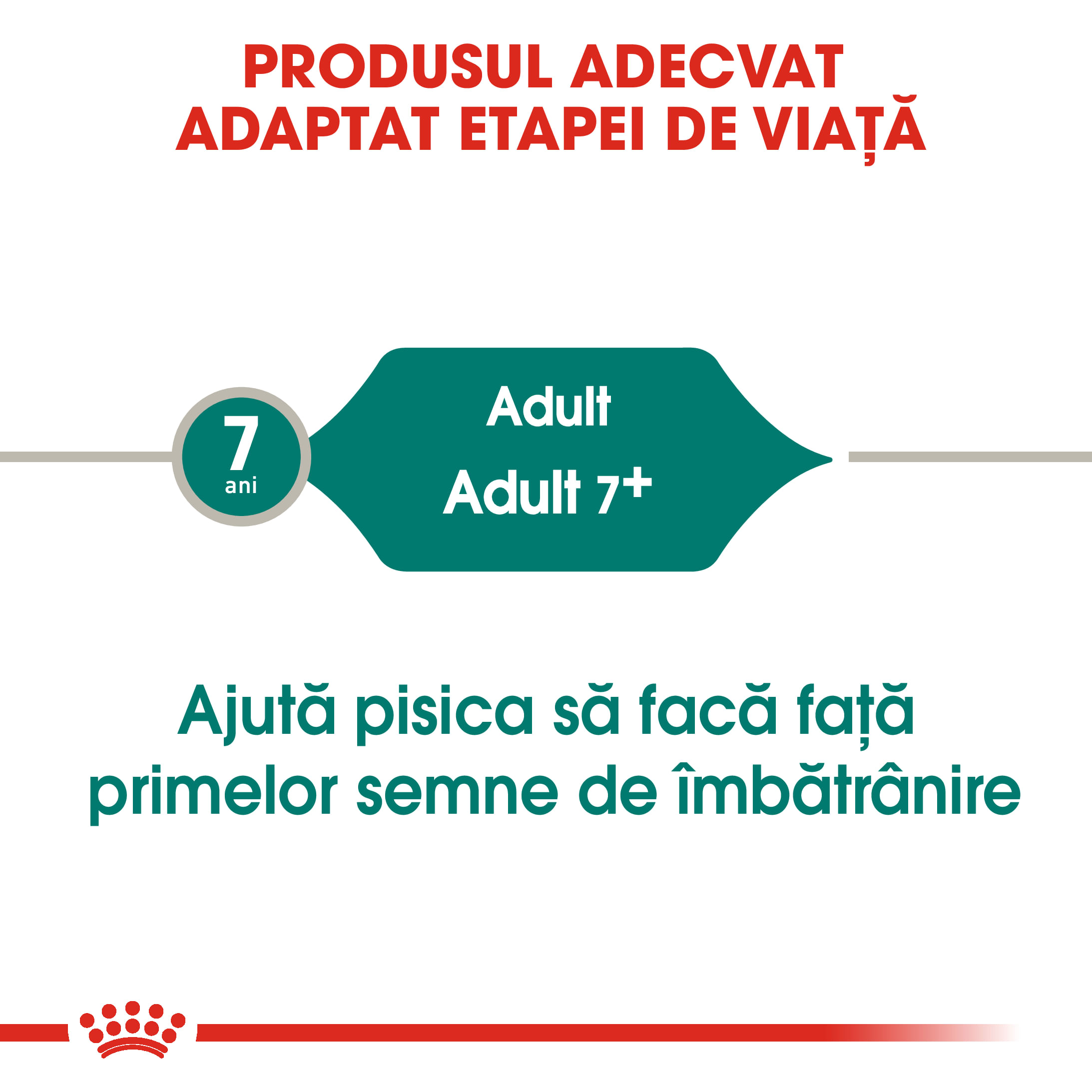 ROYAL CANIN Instinctive 7+, hrană umedă pisici, (în sos), 85g