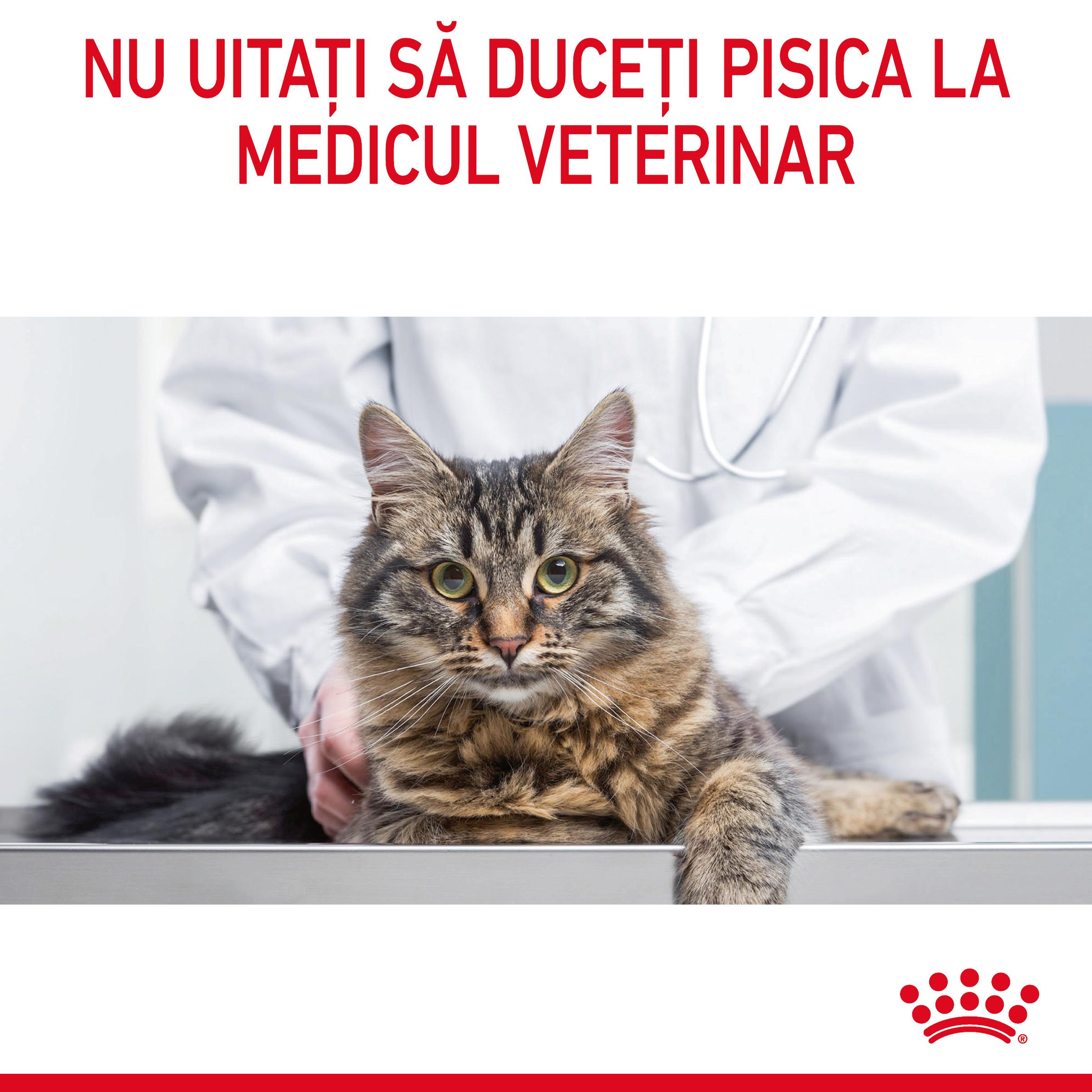 ROYAL CANIN Dental Care Adult, hrană uscată pisici, reducerea formării tartrului, 400g