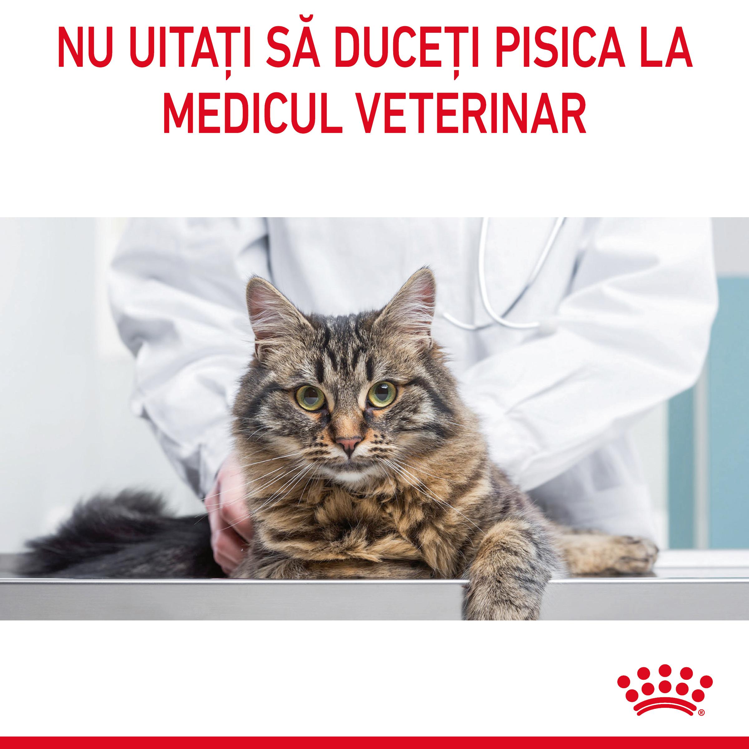 ROYAL CANIN Digestive Care Adult, hrană uscată pisici, confort digestiv, 400g