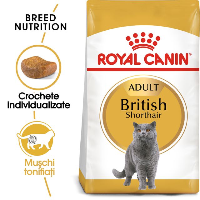 ROYAL CANIN British Shorthair Adult, hrană uscată pisici, 2kg