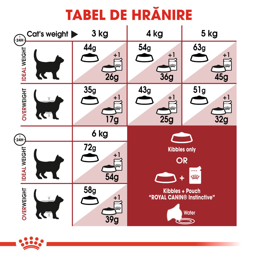 ROYAL CANIN Fit32 Adult, hrană uscată pisici, activitate fizică moderată, 4kg