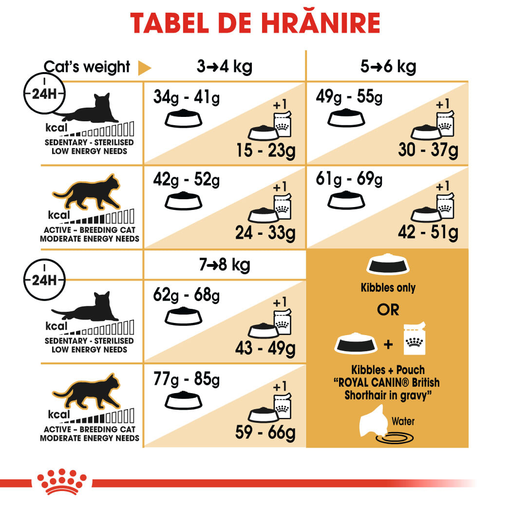 ROYAL CANIN British Shorthair Adult, hrană uscată pisici, 10kg