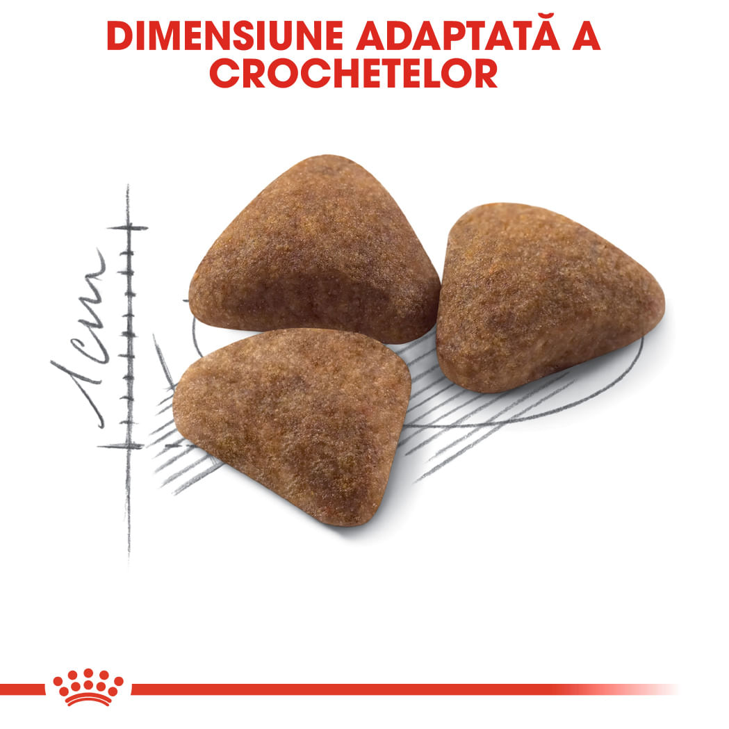 ROYAL CANIN Indoor Adult, hrană uscată pisici, de interior, 10+2kg GRATUIT