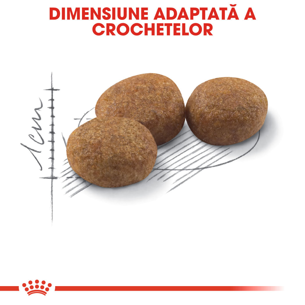 ROYAL CANIN Sterilised Adult, hrană uscată pisici sterilizate, 10+2kg GRATUIT