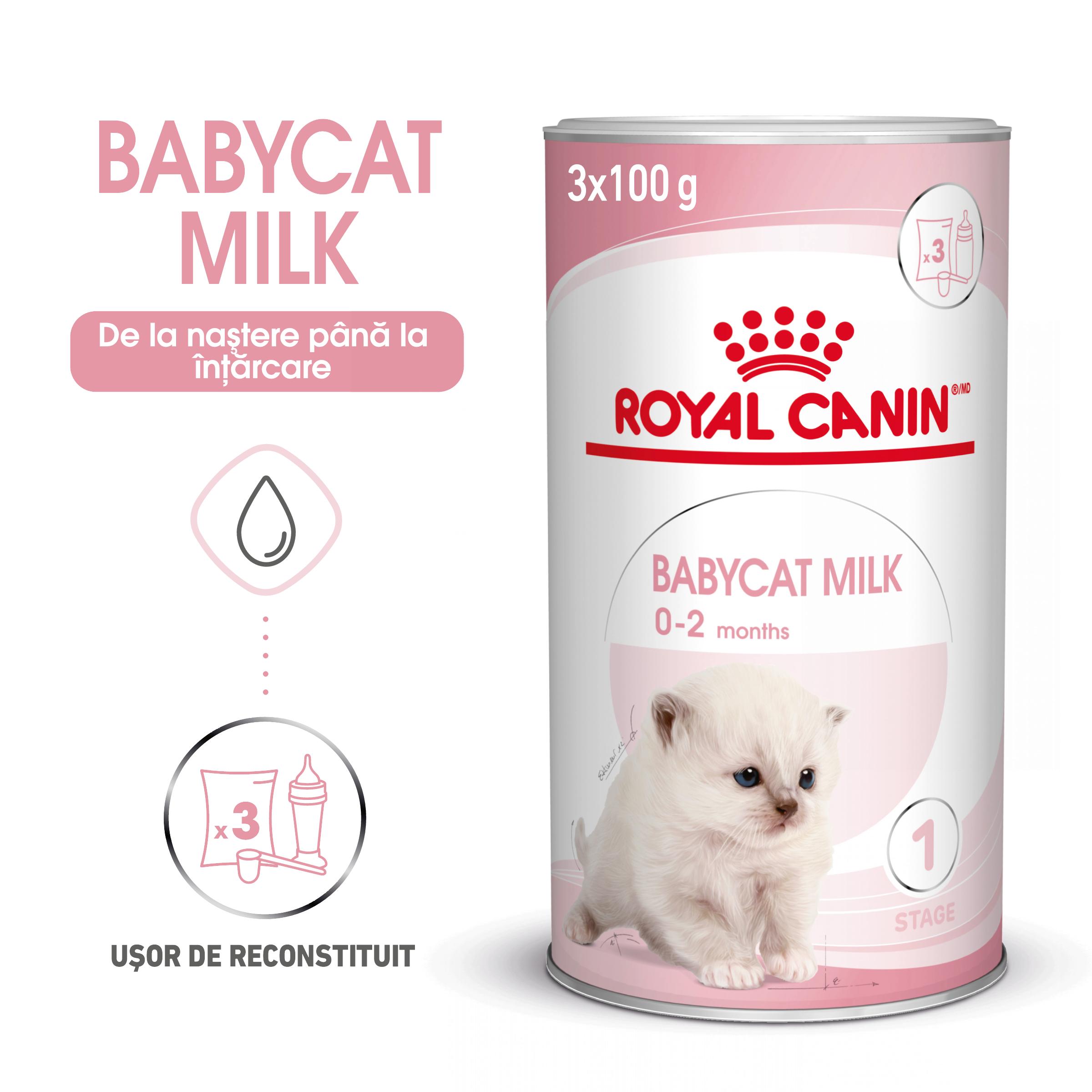 ROYAL CANIN BabyCat Milk, înlocuitor lapte matern pisici, 300g - 1 | YEO