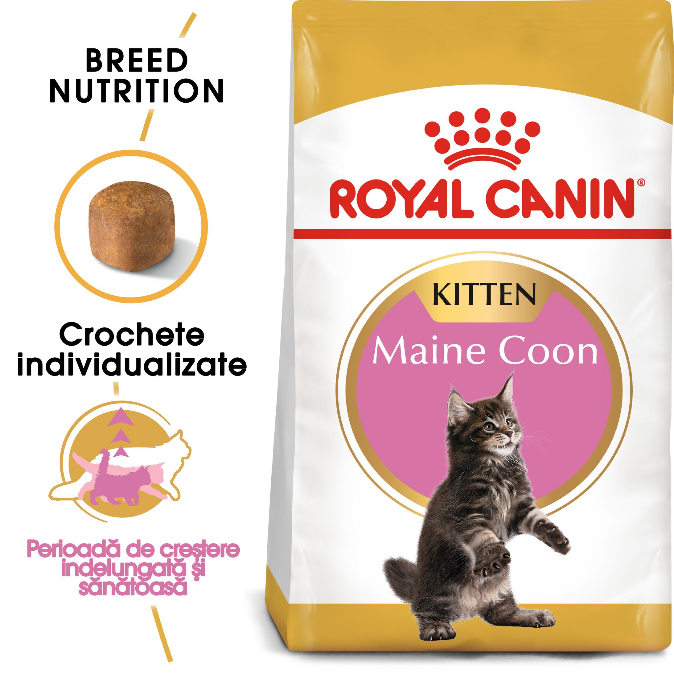 ROYAL CANIN Maine Coon Kitten, hrană uscată pisici junior, 2kg