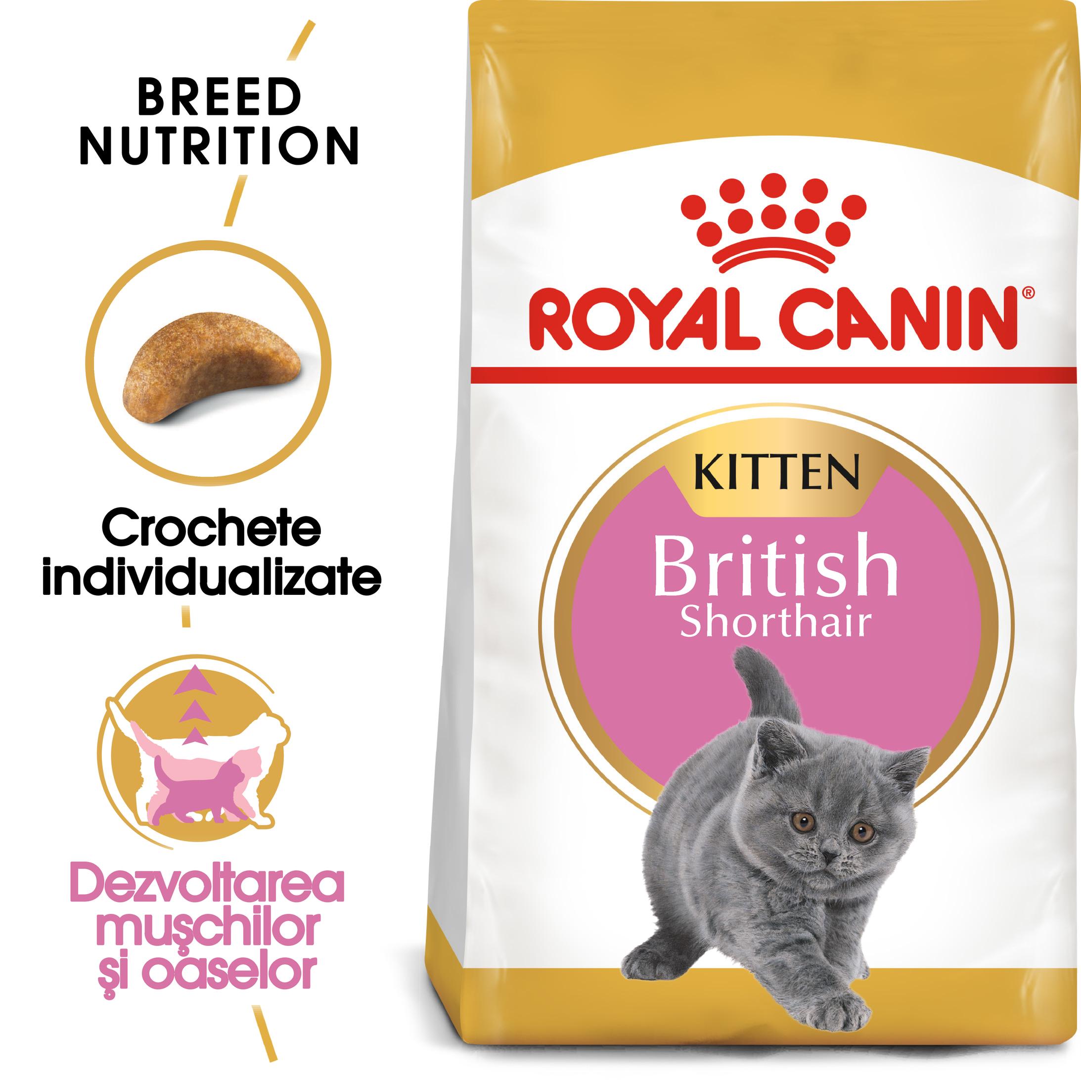 ROYAL CANIN British Shorthair Kitten, hrană uscată pisici junior, 400g - 1 | YEO