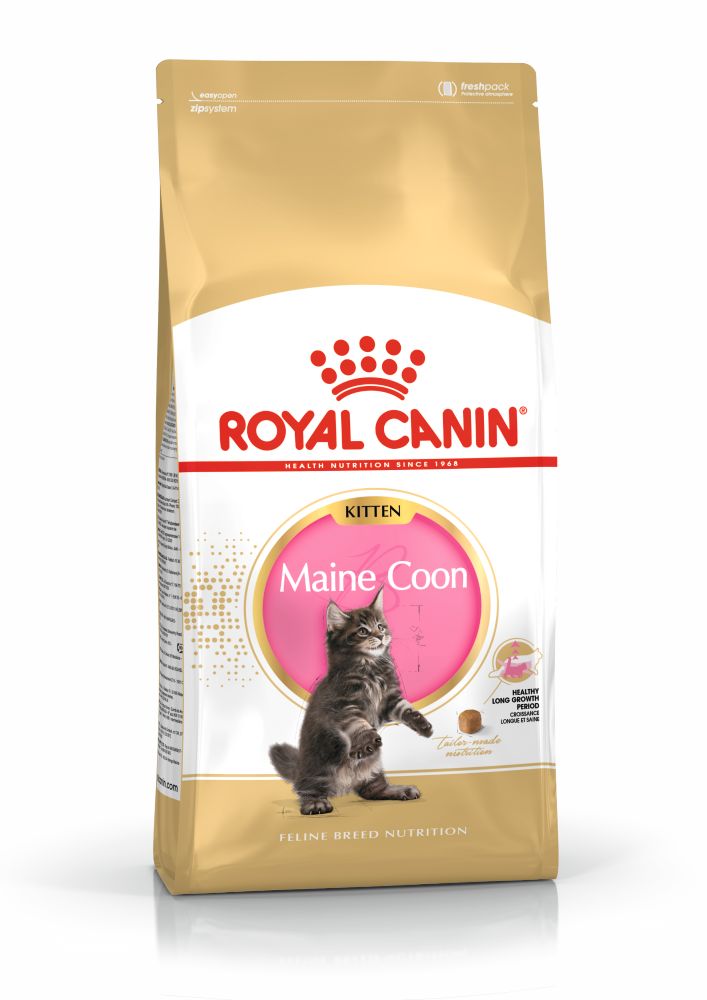 ROYAL CANIN Maine Coon Kitten, hrană uscată pisici junior, 2kg - 2 | YEO