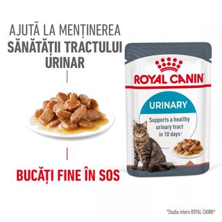 ROYAL CANIN Urinary Care Adult, hrană umedă pisici, sănătatea tractului urinar, (în sos), 85g