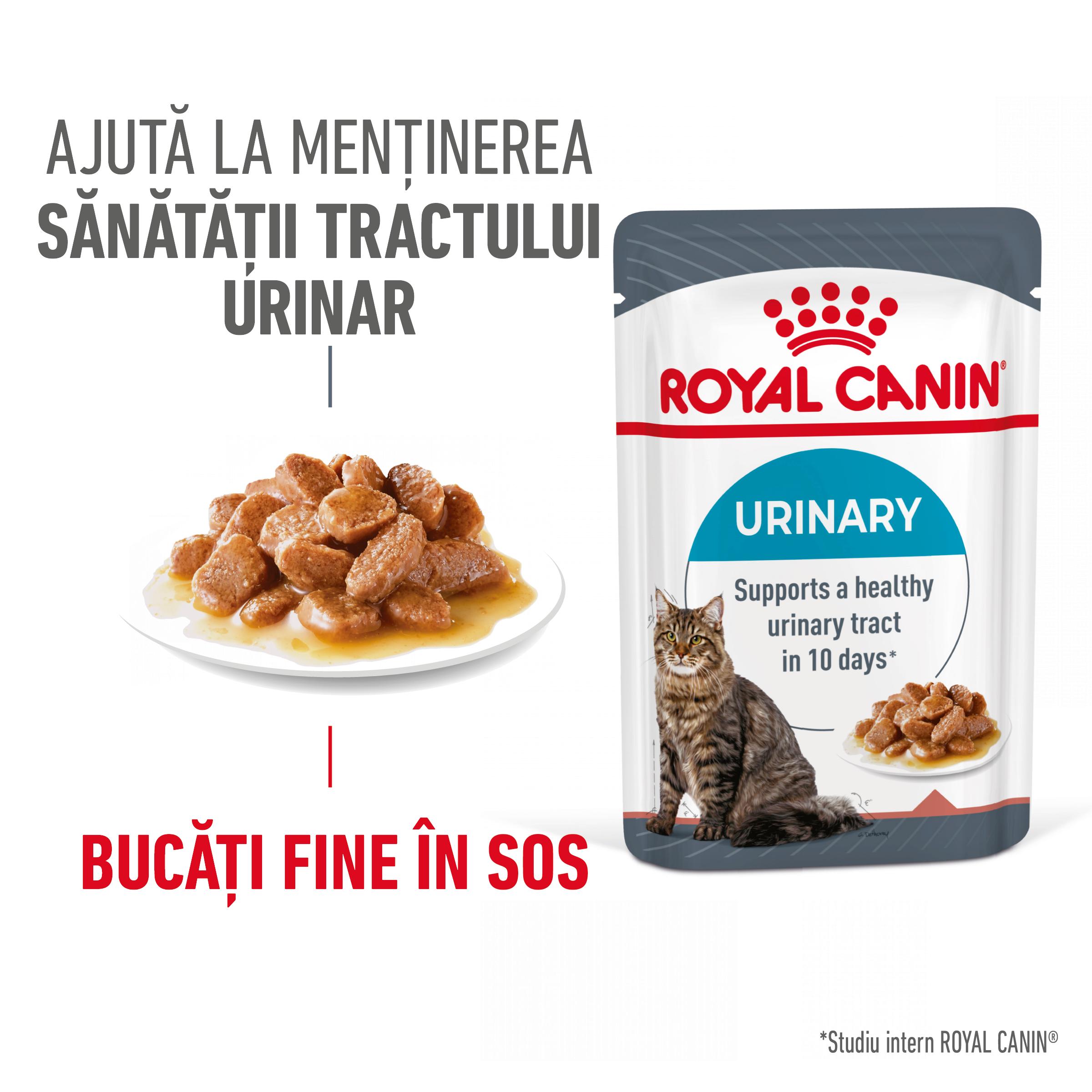 ROYAL CANIN Urinary Care Adult, hrană umedă pisici, sănătatea tractului urinar, (în sos), 85g - 1 | YEO