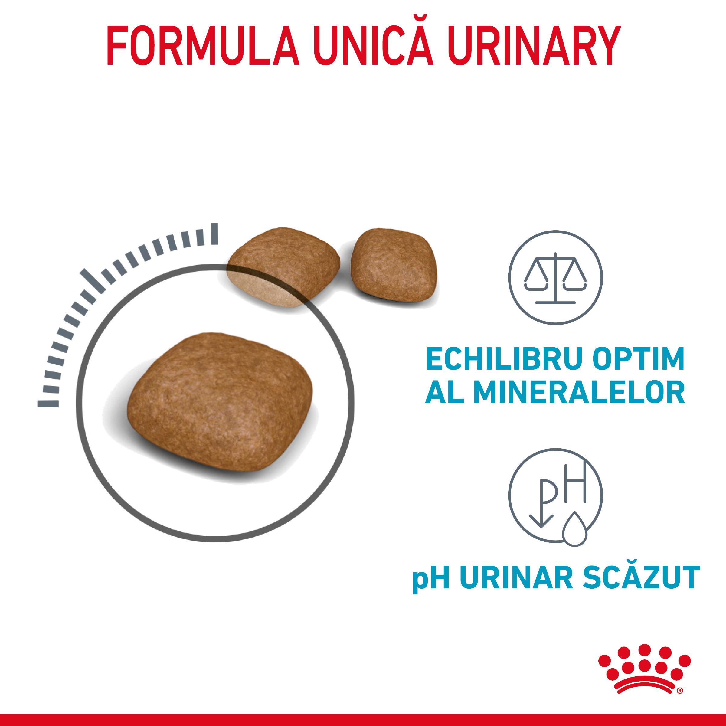 ROYAL CANIN Urinary Care Adult, hrană uscată pisici, sănătatea tractului urinar, 400g - 3 | YEO