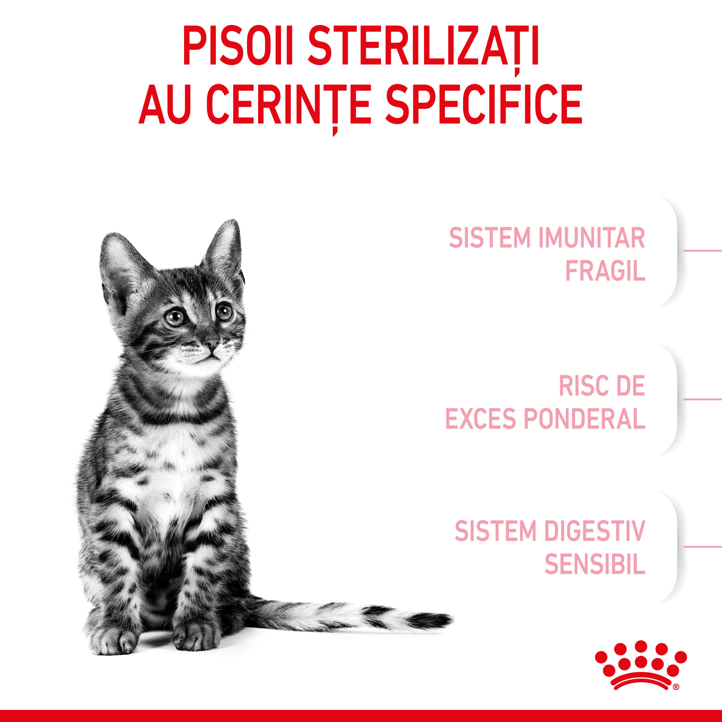 ROYAL CANIN Kitten Sterilised, hrană uscată pisici sterilizate junior, 400g - 3 | YEO