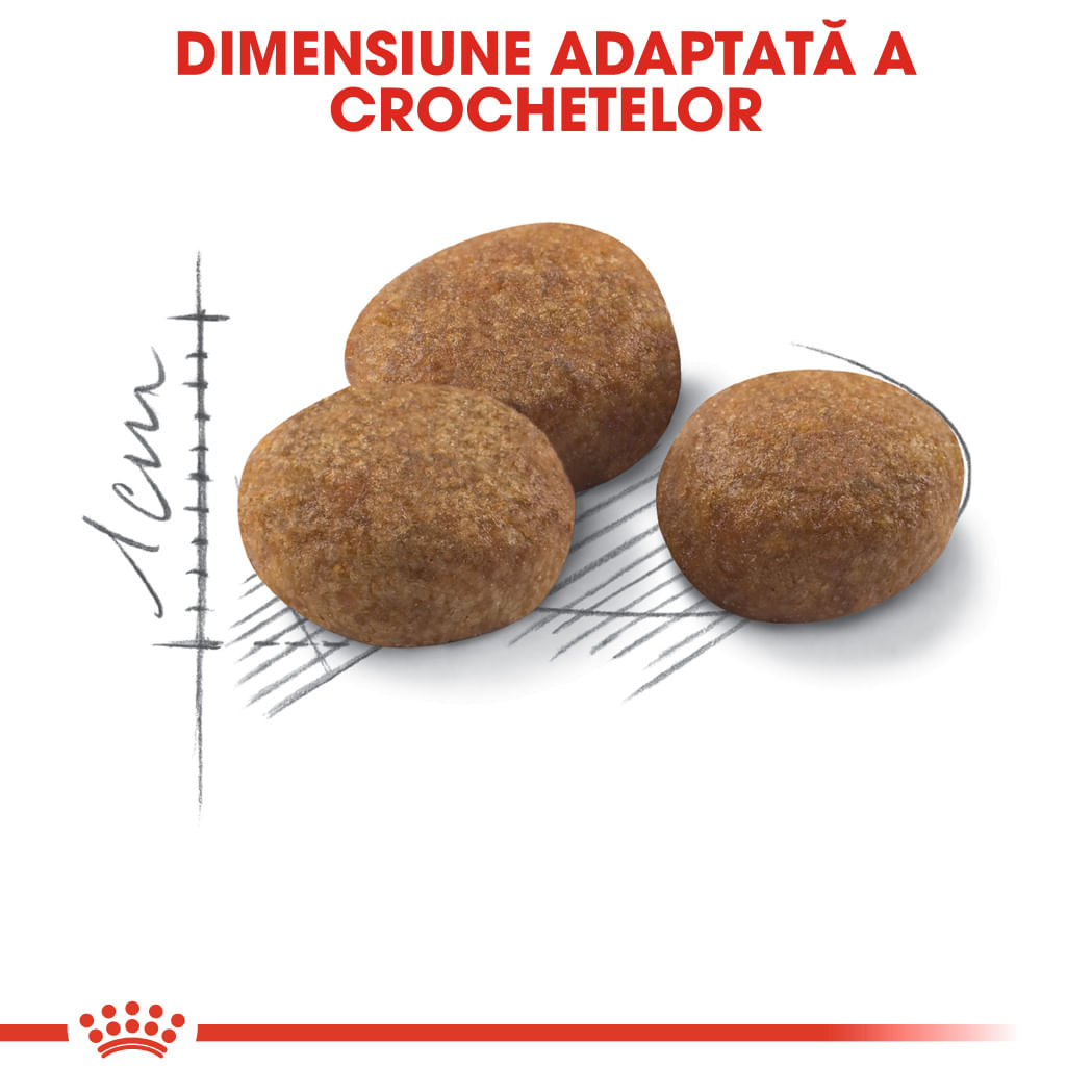 ROYAL CANIN Sterilised 7+, hrană uscată pisici sterilizate, 1.5kg