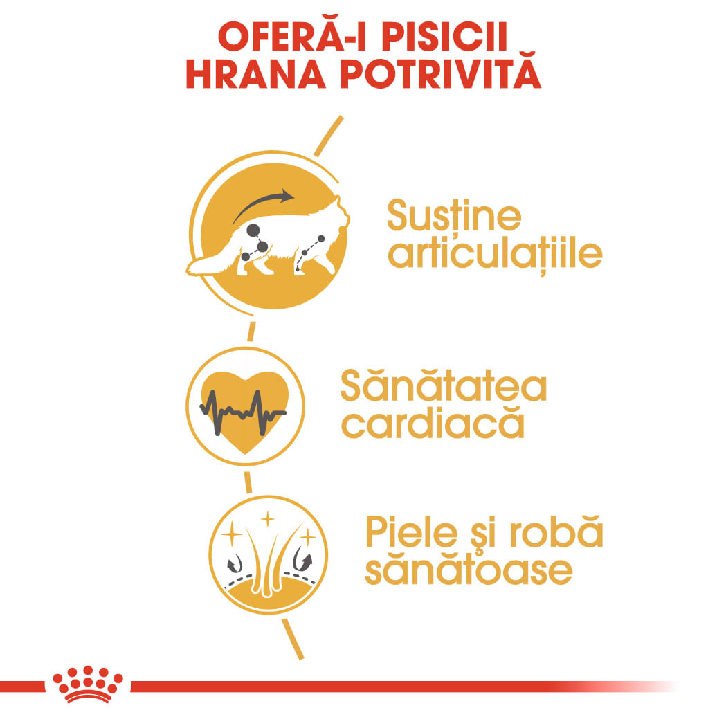 ROYAL CANIN Maine Coon Adult, hrană uscată pisici, 10kg