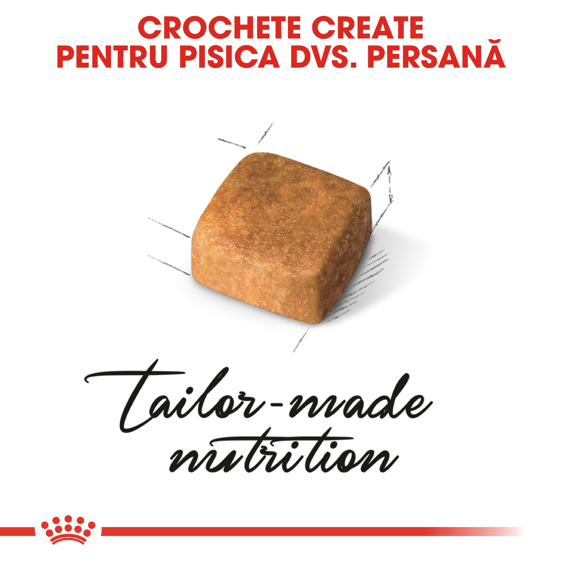 ROYAL CANIN Persian Kitten, hrană uscată pisici junior, 400g