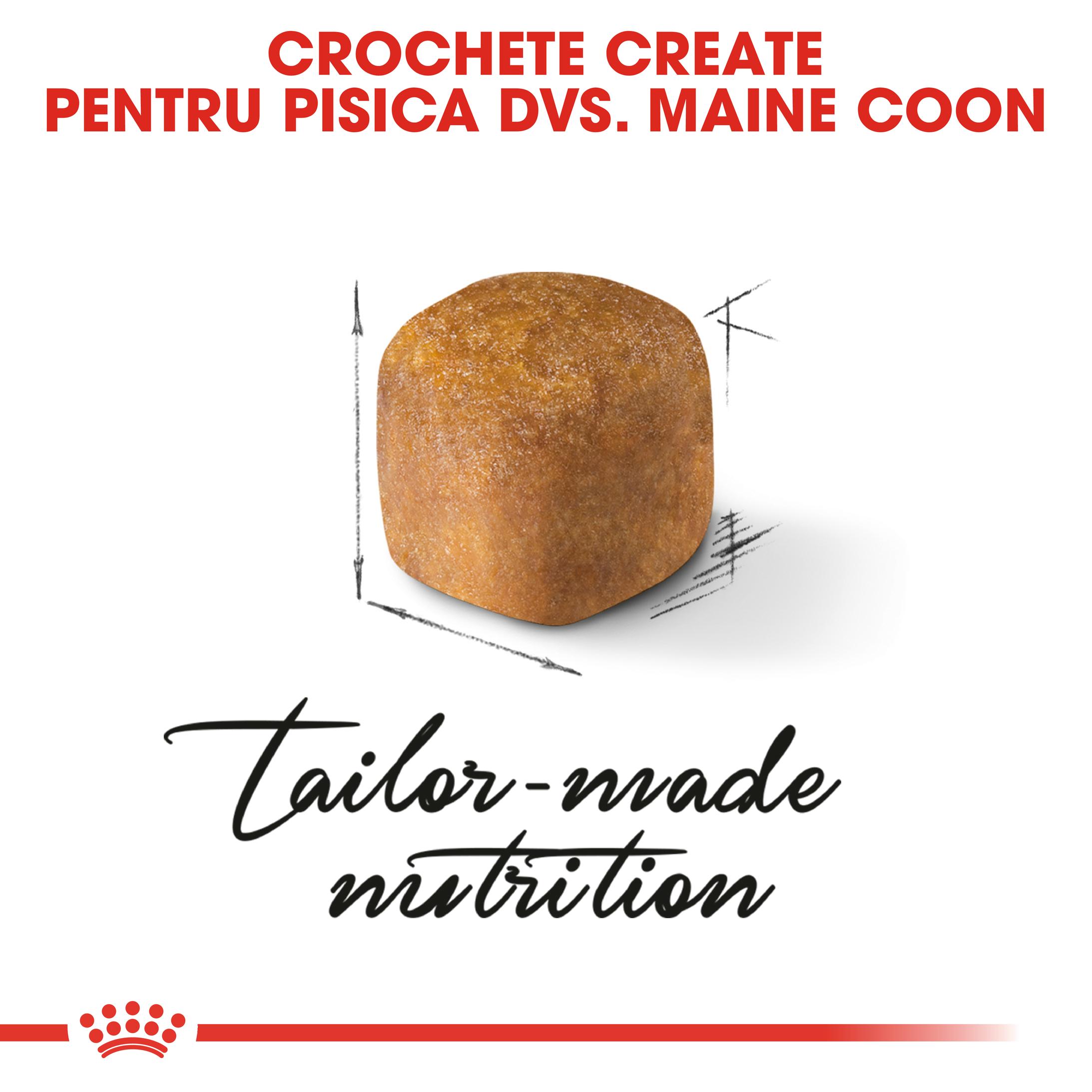 ROYAL CANIN Maine Coon Kitten, hrană uscată pisici junior, 2kg