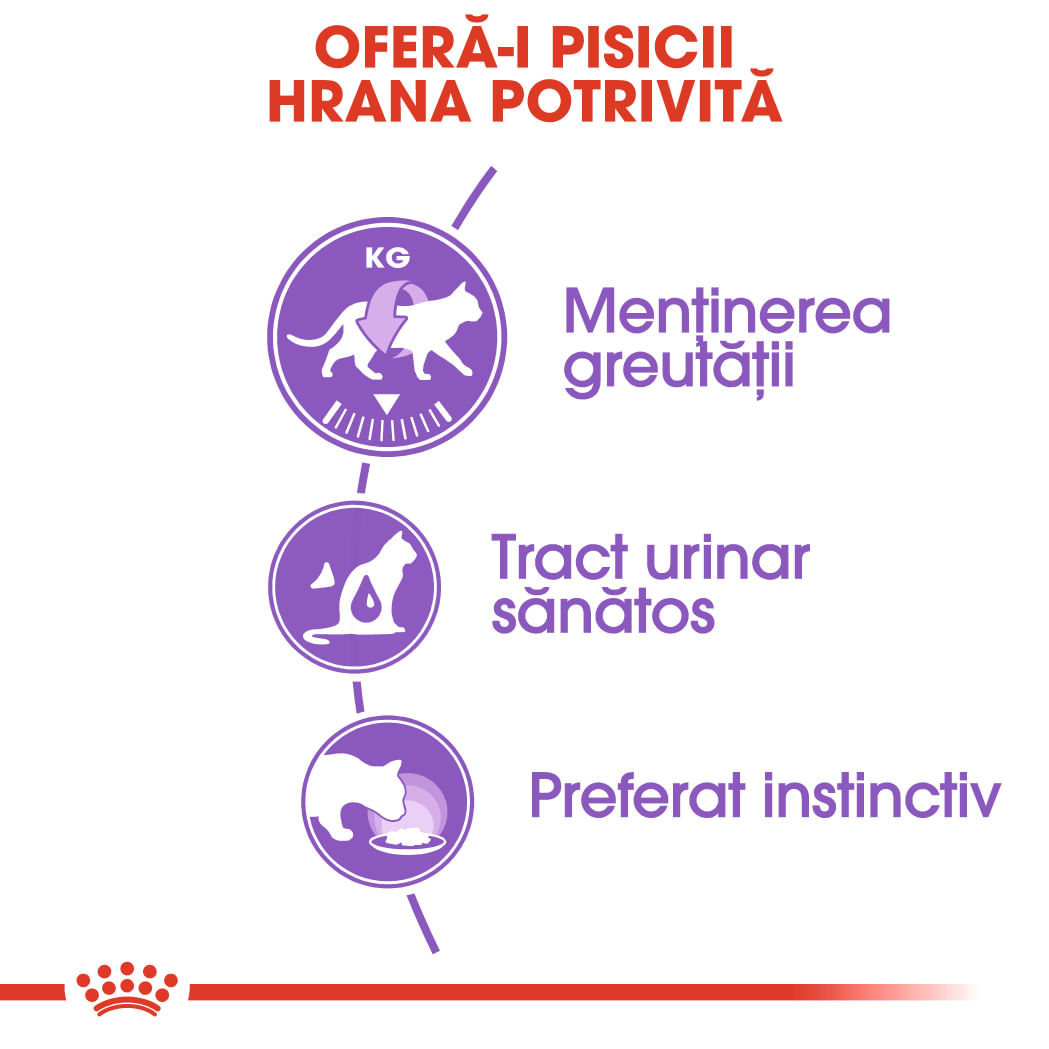 ROYAL CANIN Sterilised Adult, hrană umedă pisici sterilizate, (în sos), 85g - 3 | YEO