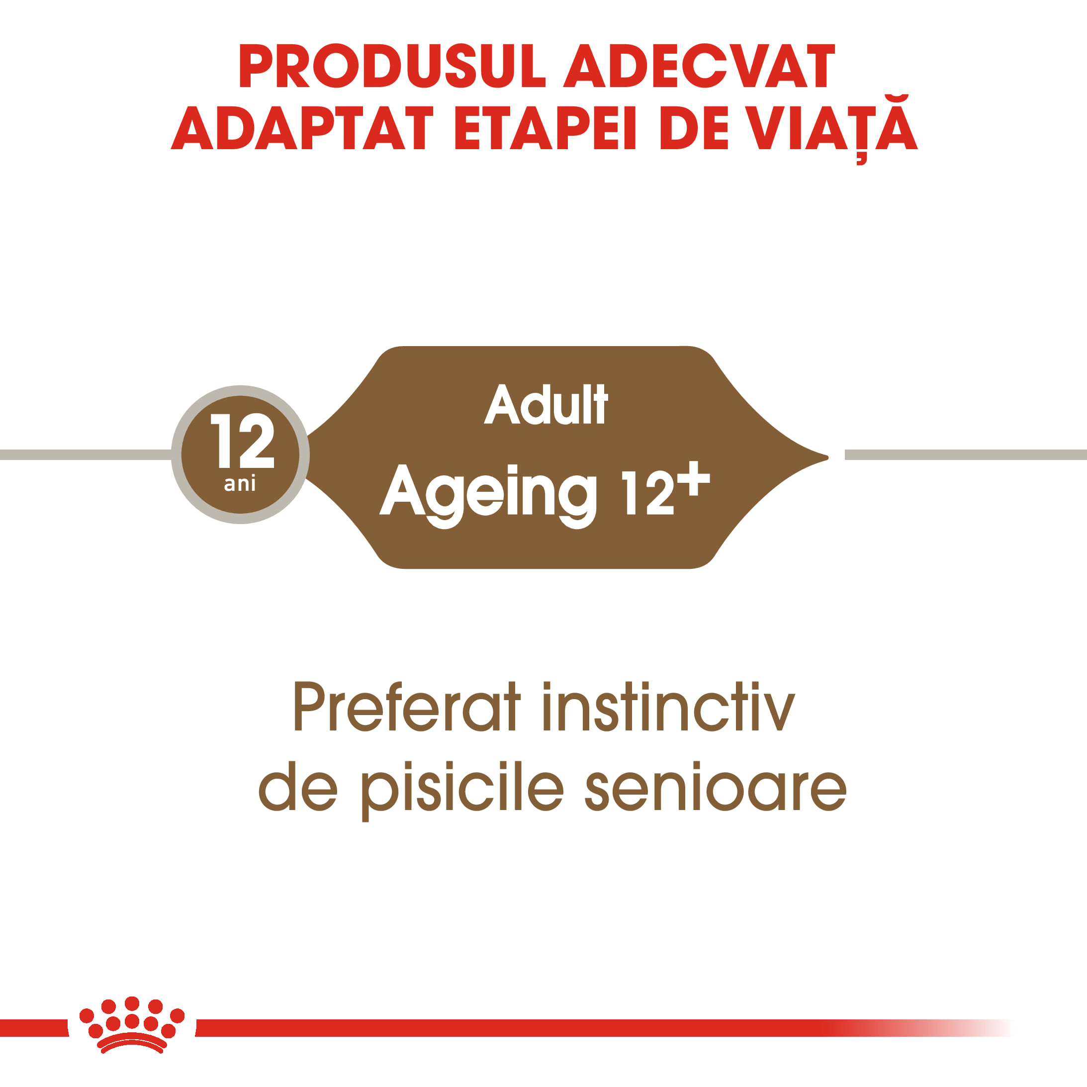 ROYAL CANIN Ageing 12+, hrană umedă pisici senior, (în sos), 85g
