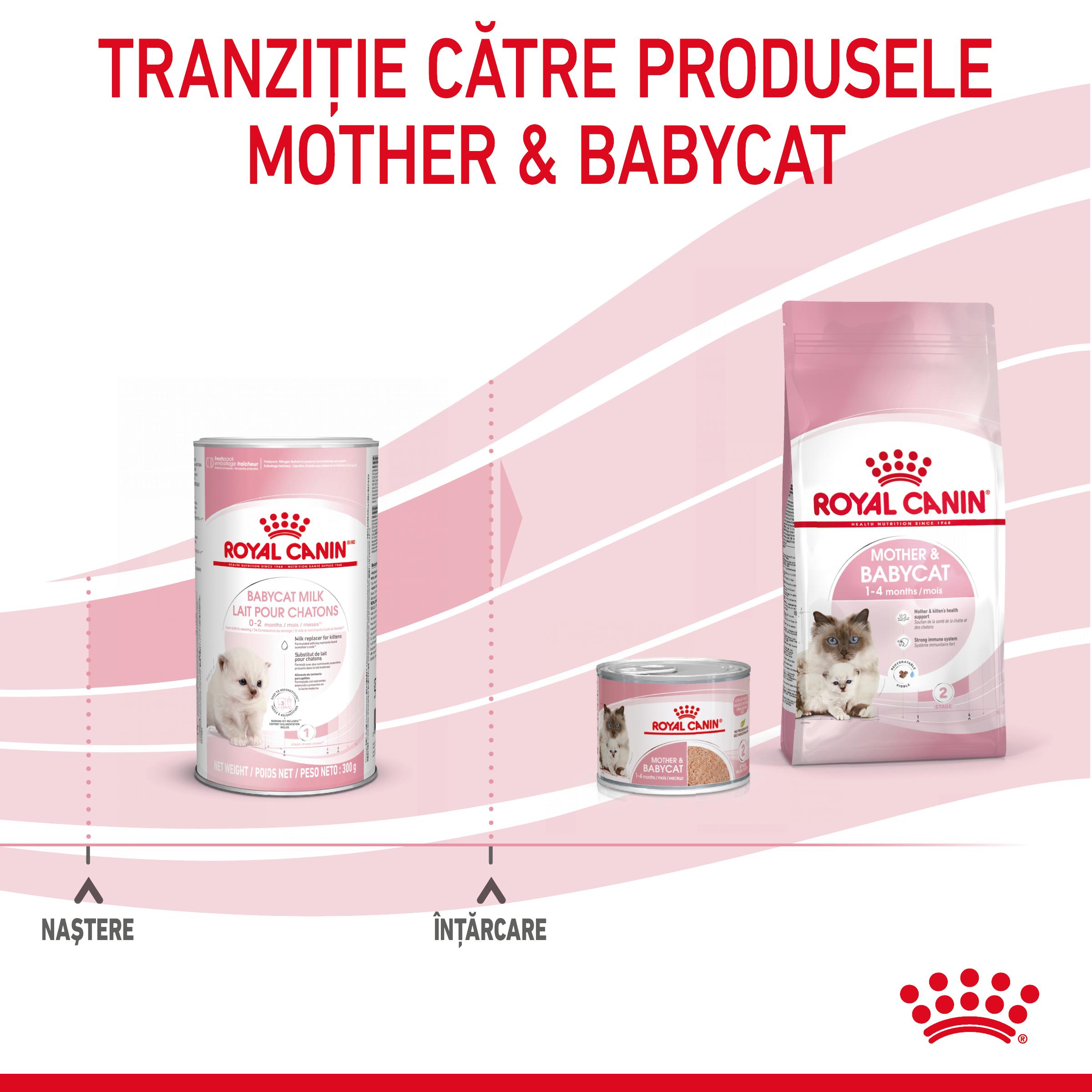 ROYAL CANIN BabyCat Milk, înlocuitor lapte matern pisici, 300g