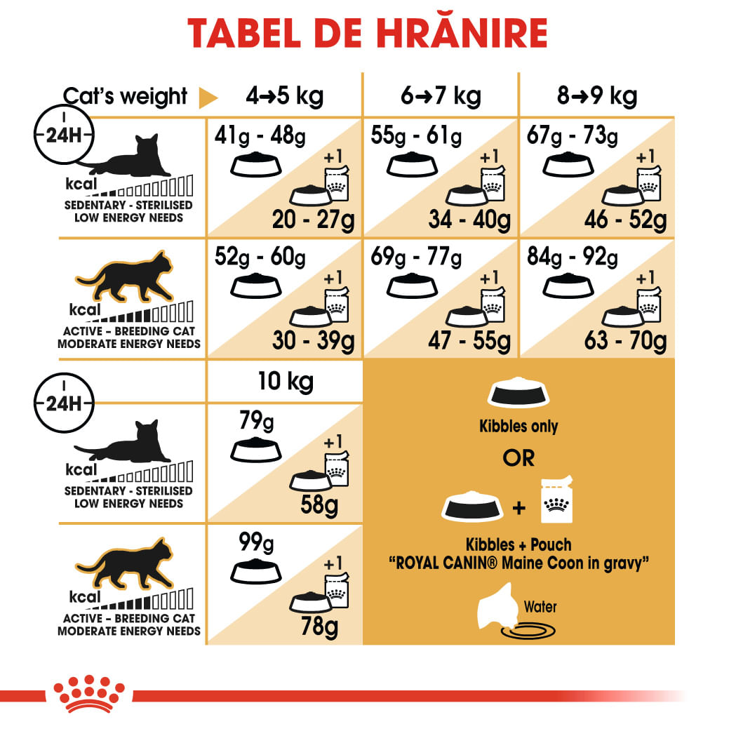 ROYAL CANIN Maine Coon Adult, hrană uscată pisici, 10kg