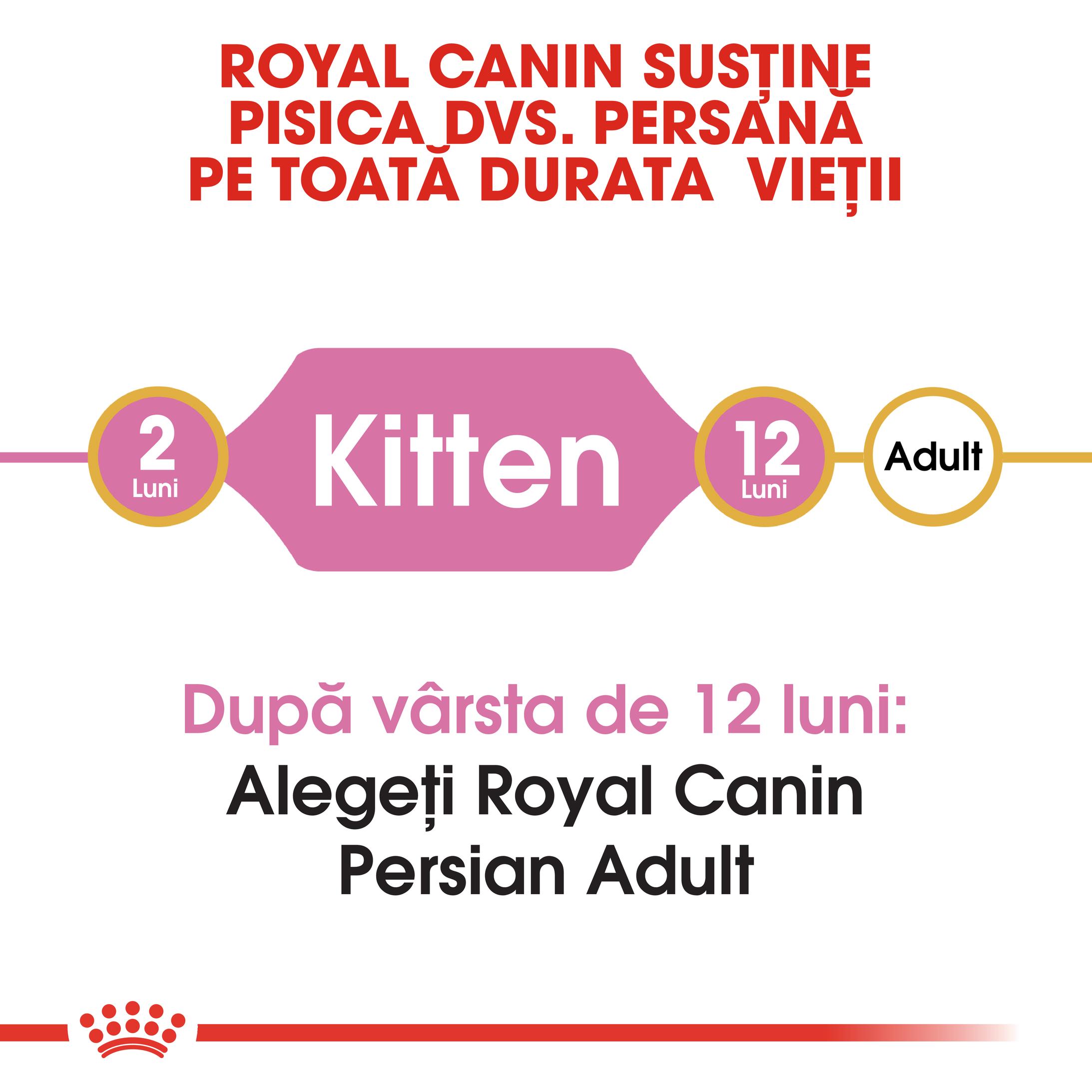 ROYAL CANIN Persian Kitten, hrană uscată pisici junior, 400g