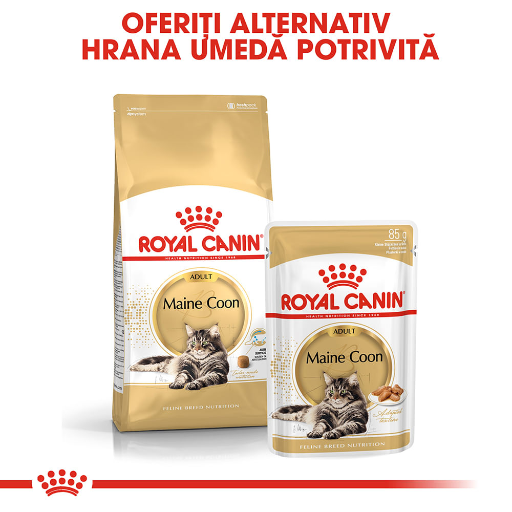 ROYAL CANIN Maine Coon Adult, hrană umedă pisici, (în sos), 85g