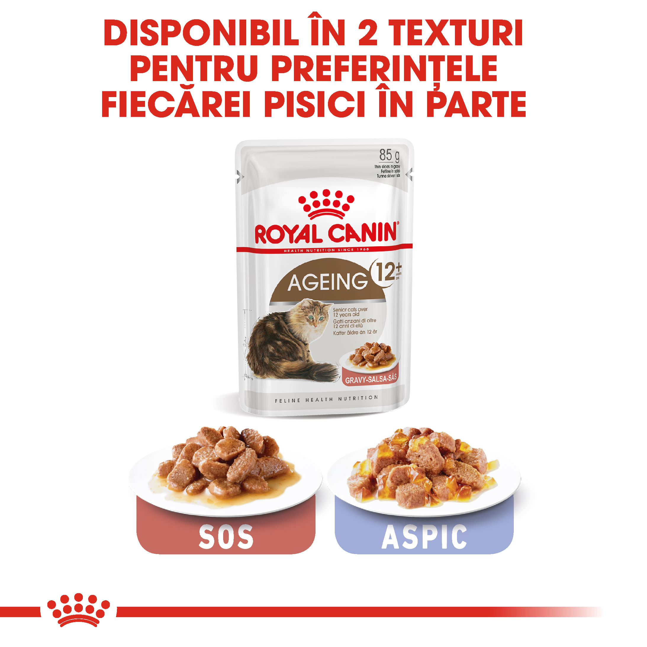 ROYAL CANIN Ageing 12+, hrană umedă pisici senior, (în sos), 85g