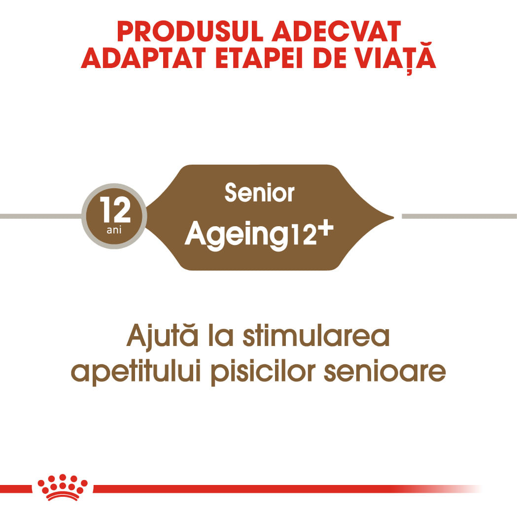 ROYAL CANIN Ageing 12+, hrană uscată pisici senior, 2kg