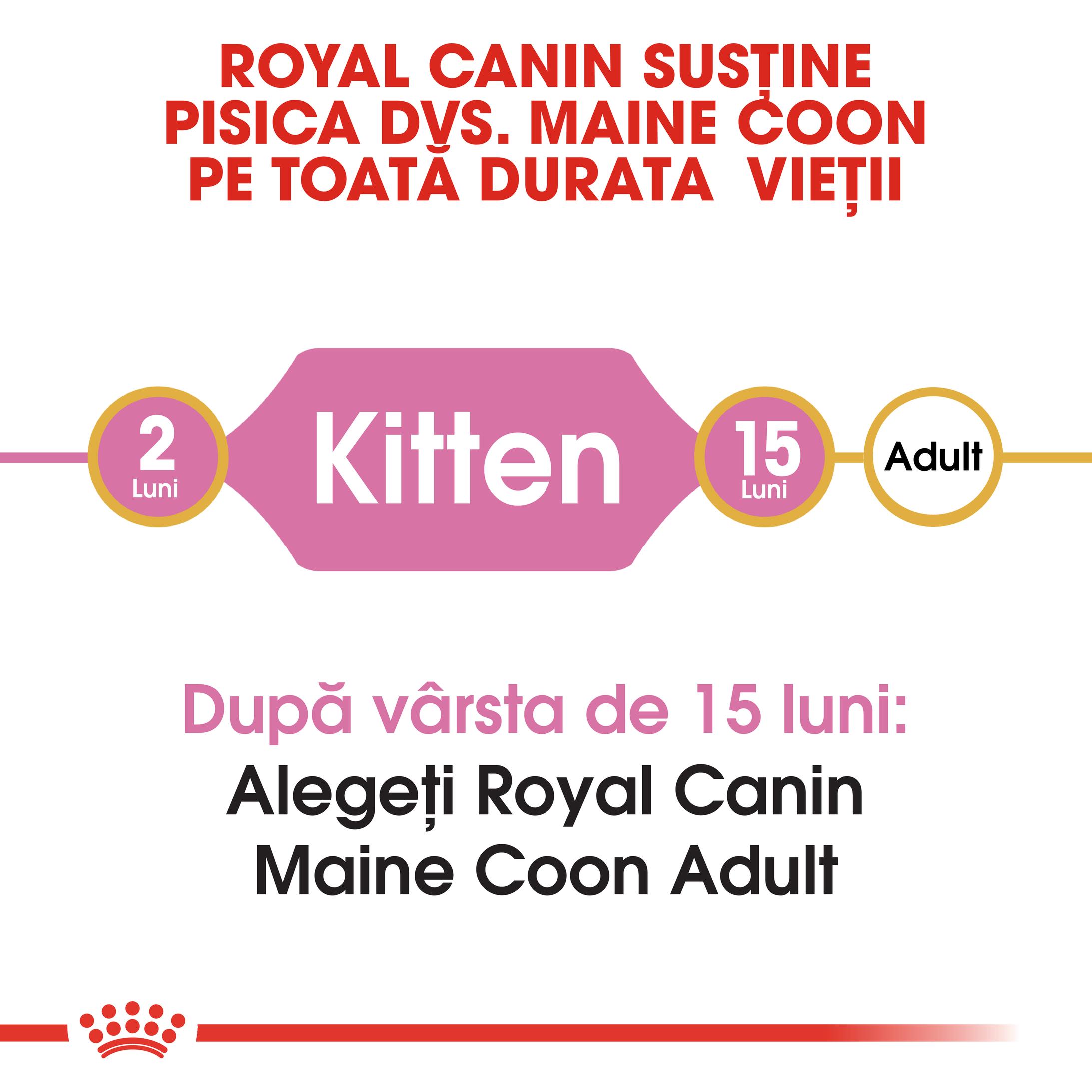 ROYAL CANIN Maine Coon Kitten, hrană uscată pisici junior, 2kg