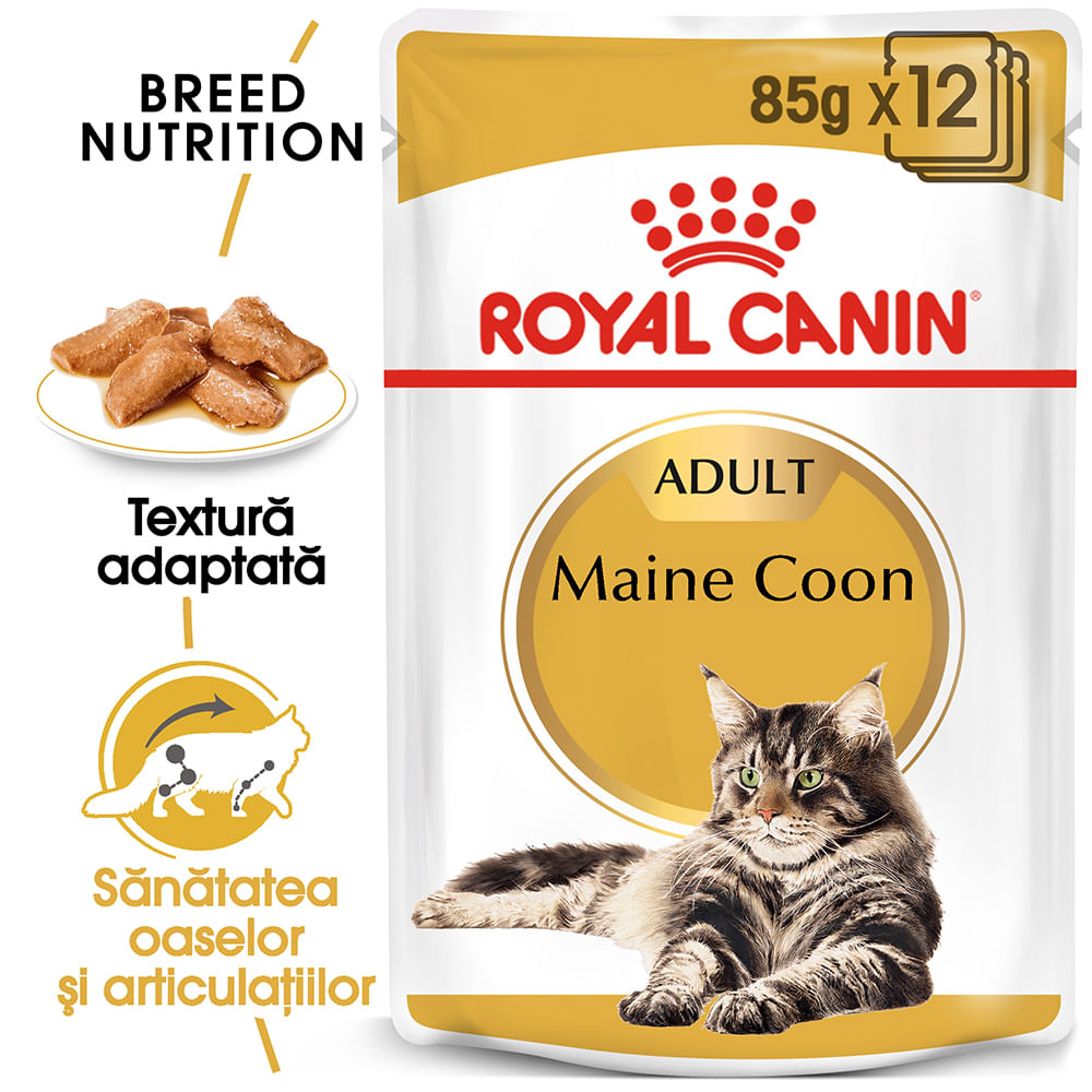 ROYAL CANIN Maine Coon Adult, hrană umedă pisici, (în sos), bax, 85g x 12buc