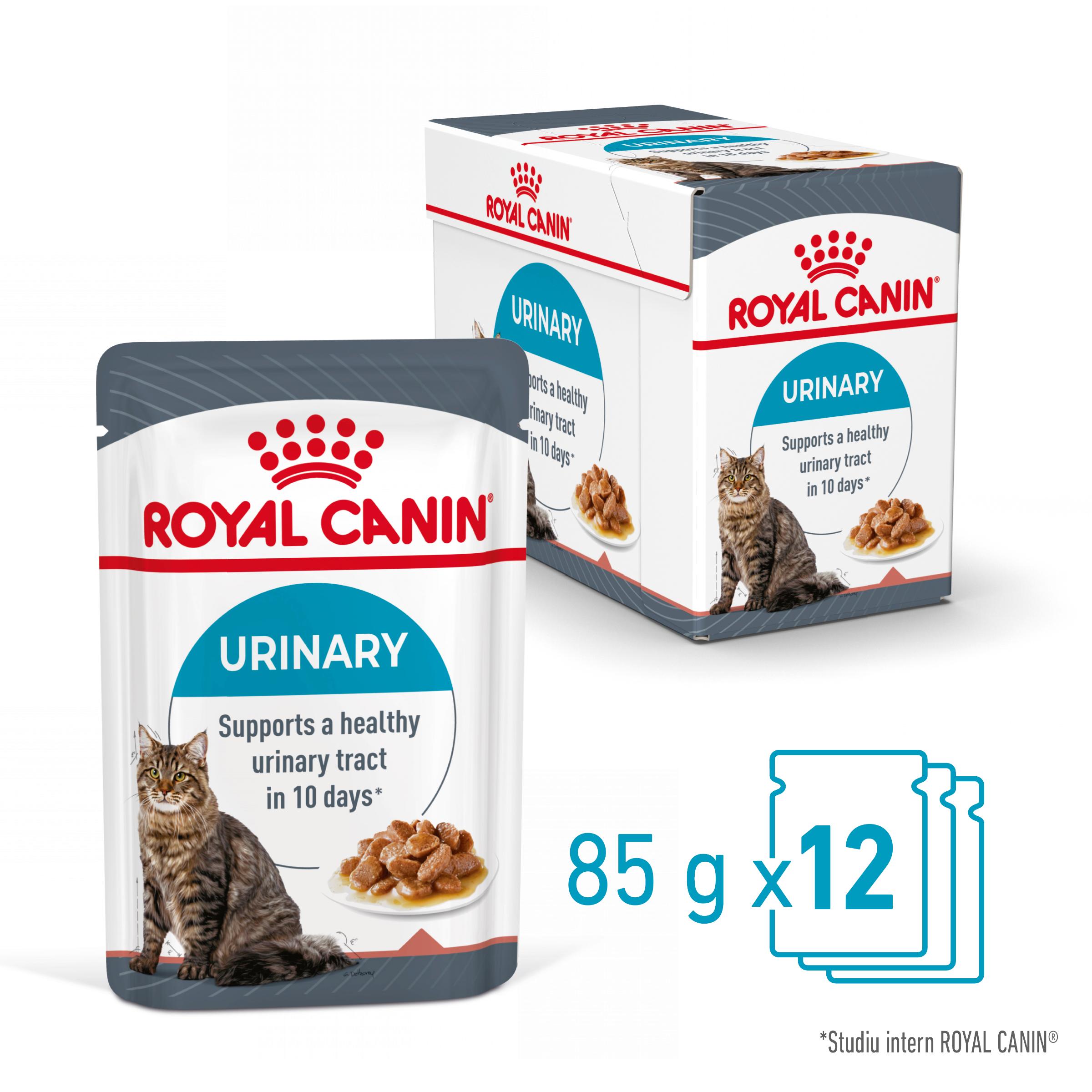 ROYAL CANIN Urinary Care Adult, hrană umedă pisici, sănătatea tractului urinar, (în sos), bax, 85g x 12buc