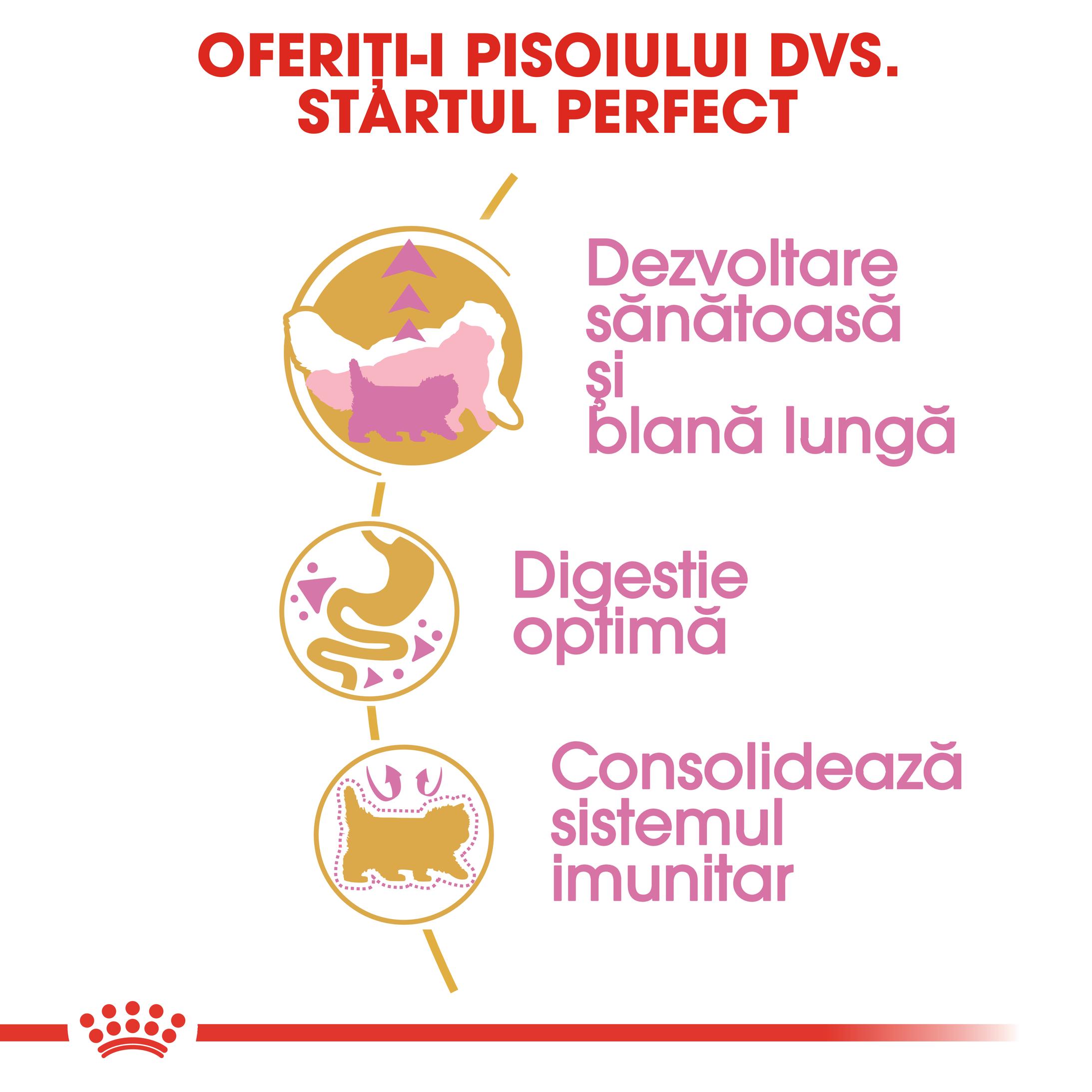 ROYAL CANIN Persian Kitten, hrană uscată pisici junior, 2kg
