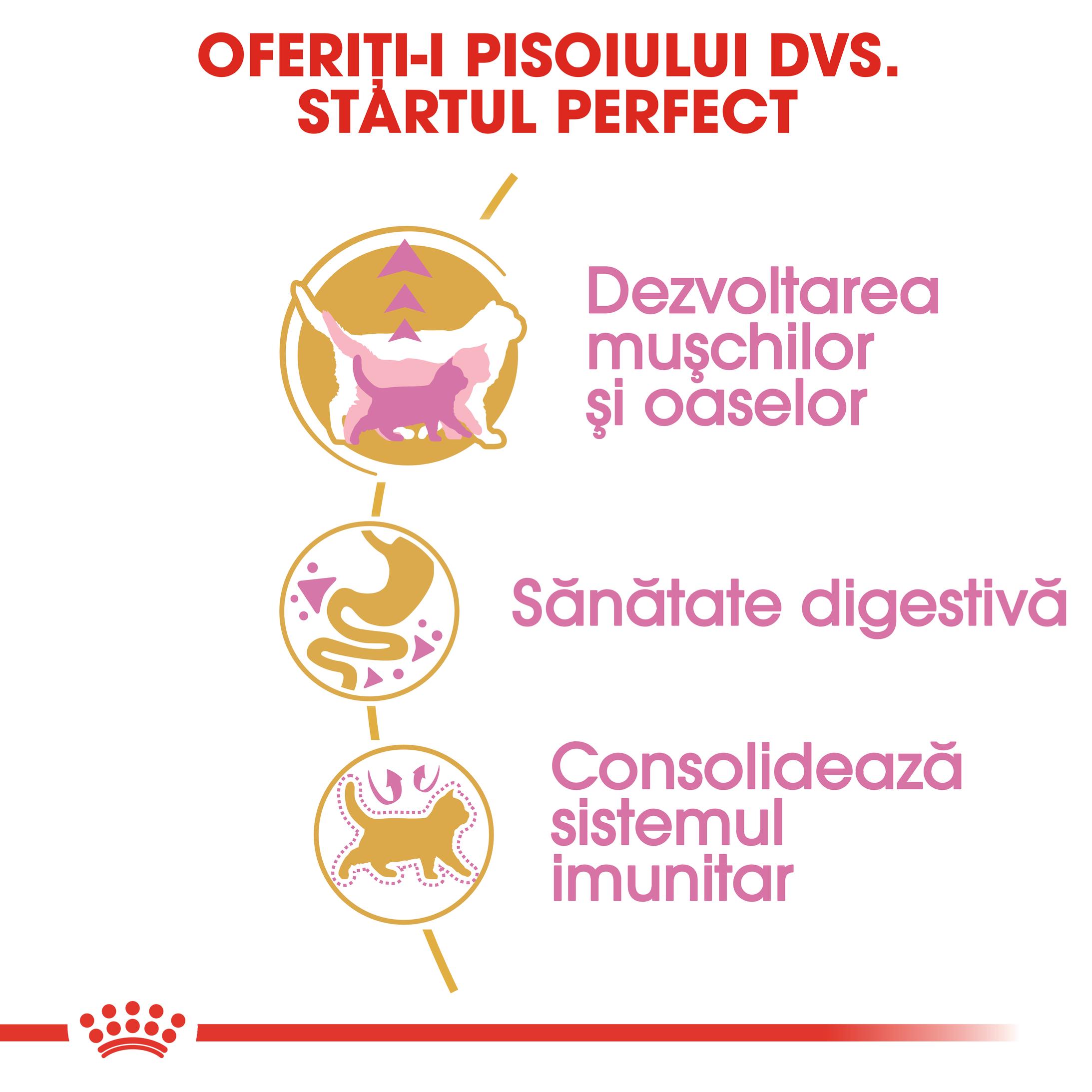ROYAL CANIN British Shorthair Kitten, hrană uscată pisici junior, 2kg