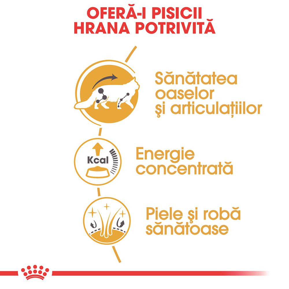 ROYAL CANIN Maine Coon Adult, hrană umedă pisici, (în sos), bax, 85g x 12buc