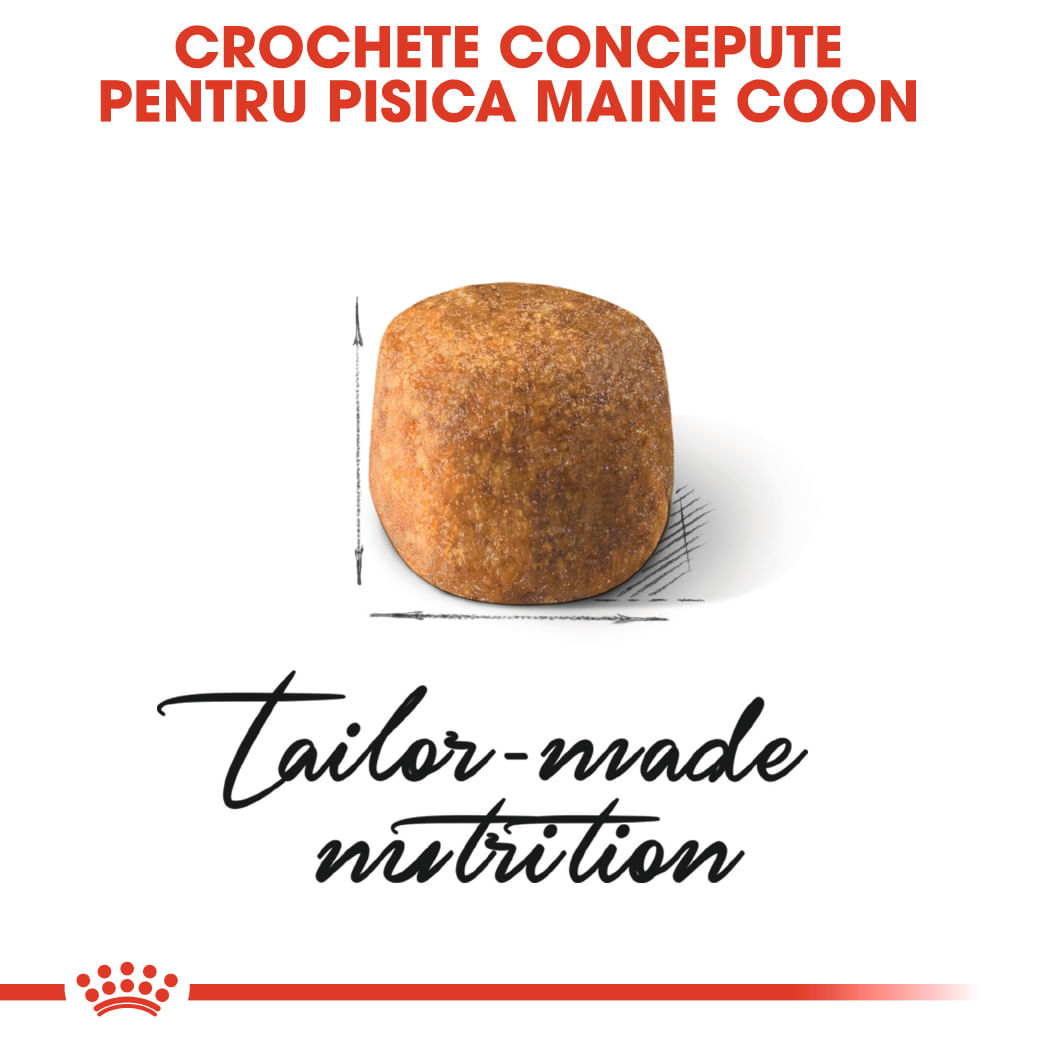ROYAL CANIN Maine Coon Adult, hrană uscată pisici, 4kg