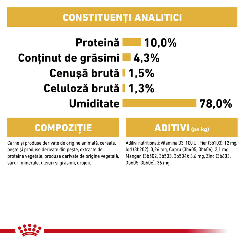 ROYAL CANIN Maine Coon Adult, hrană umedă pisici, (în sos), bax, 85g x 12buc