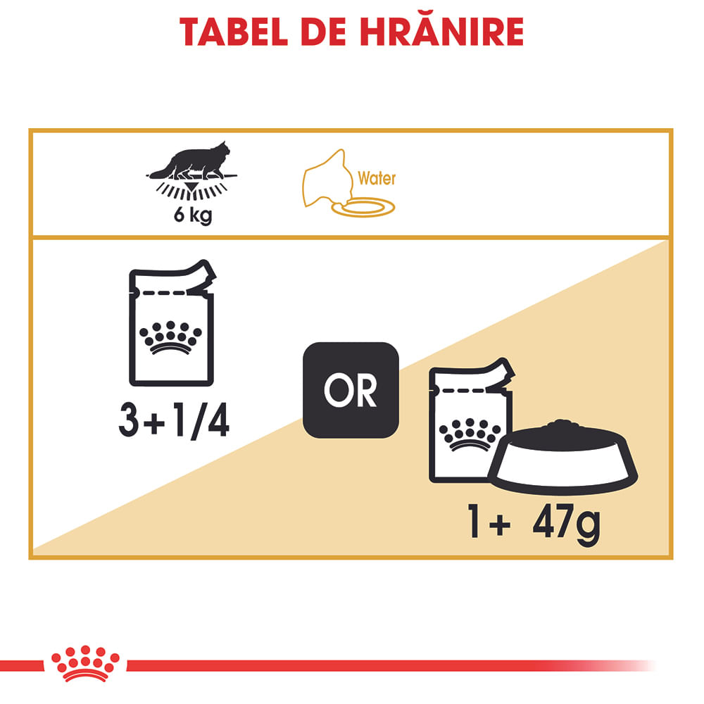 ROYAL CANIN Maine Coon Adult, hrană umedă pisici, (în sos), bax, 85g x 12buc