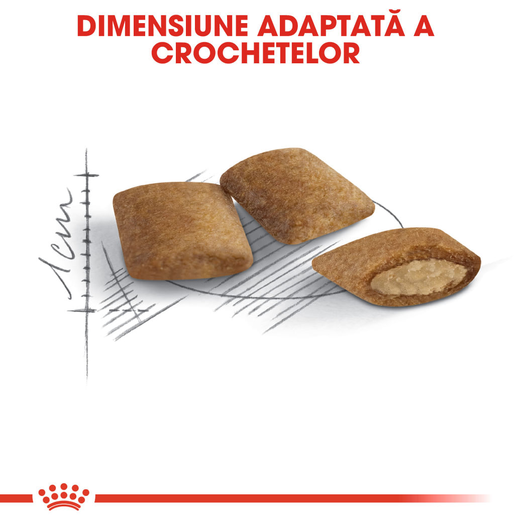 ROYAL CANIN Ageing 12+, hrană uscată pisici senior, 400g