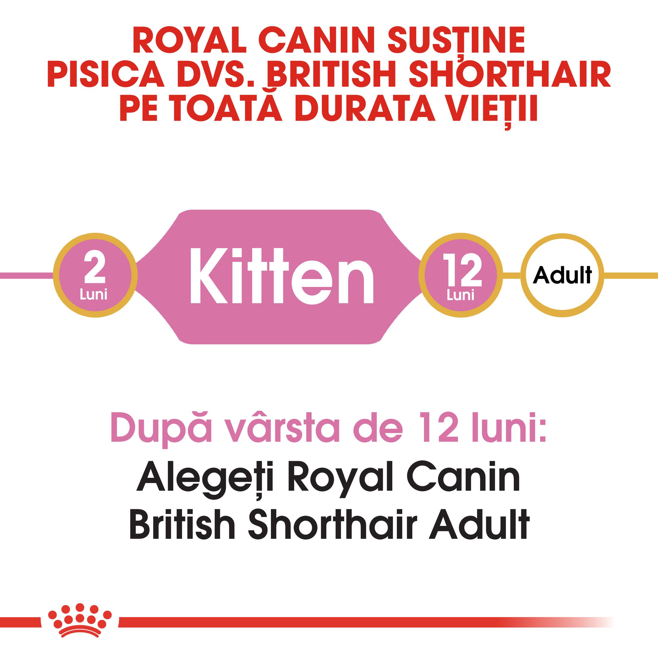 ROYAL CANIN British Shorthair Kitten, hrană uscată pisici junior, 10kg