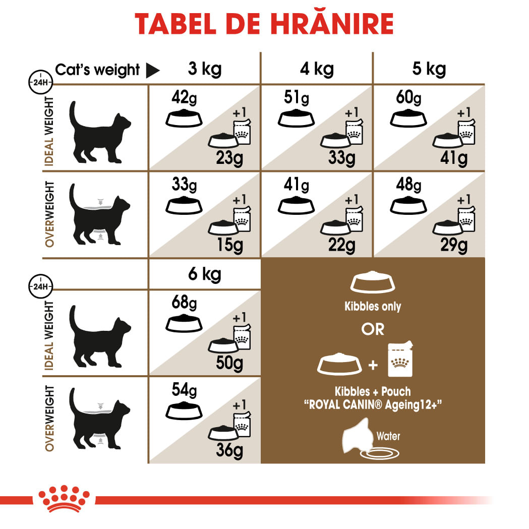 ROYAL CANIN Ageing 12+, hrană uscată pisici senior, 400g