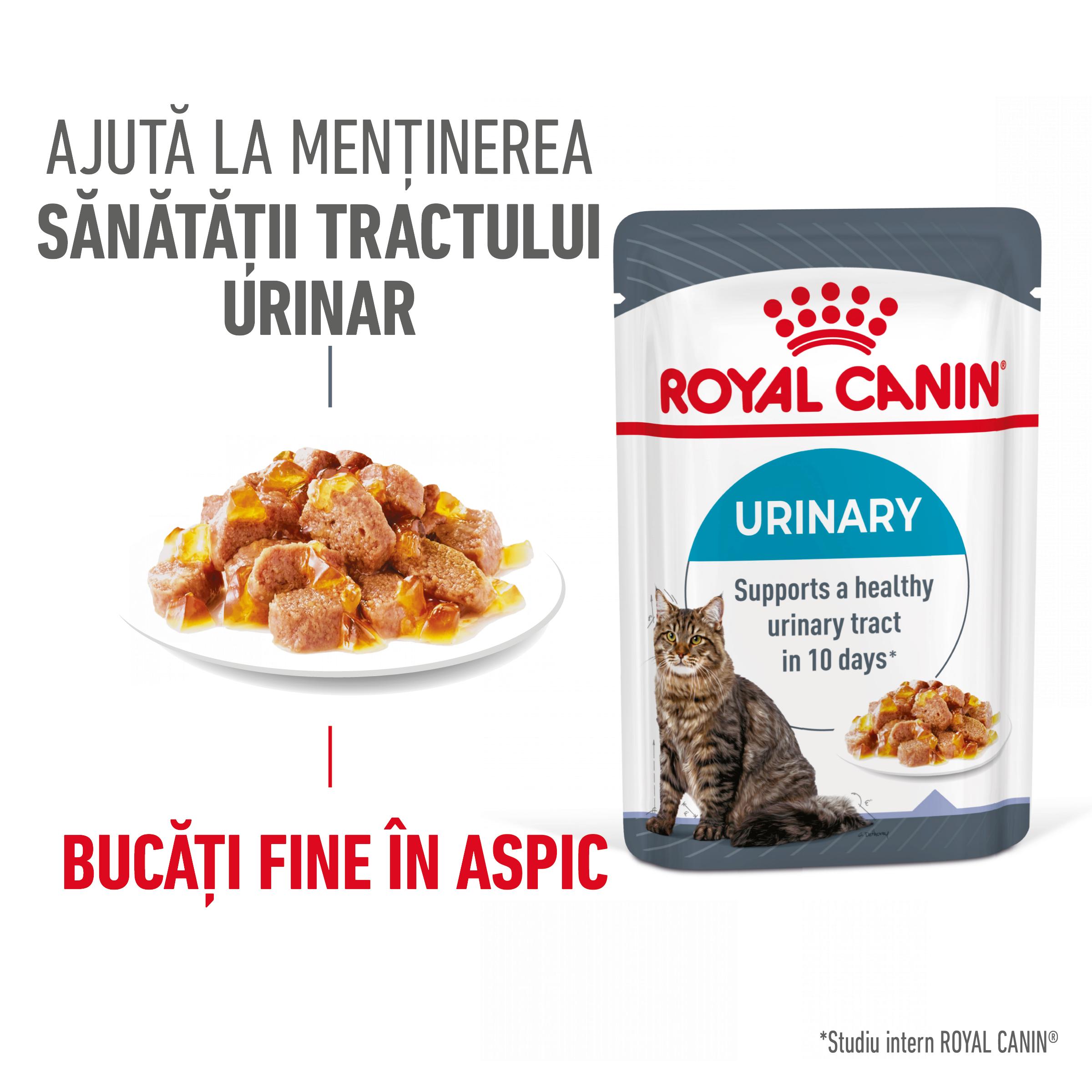 ROYAL CANIN Urinary Care Adult hrană umedă pisici sănătatea tractului urinar (în aspic), 85g - 1 | YEO