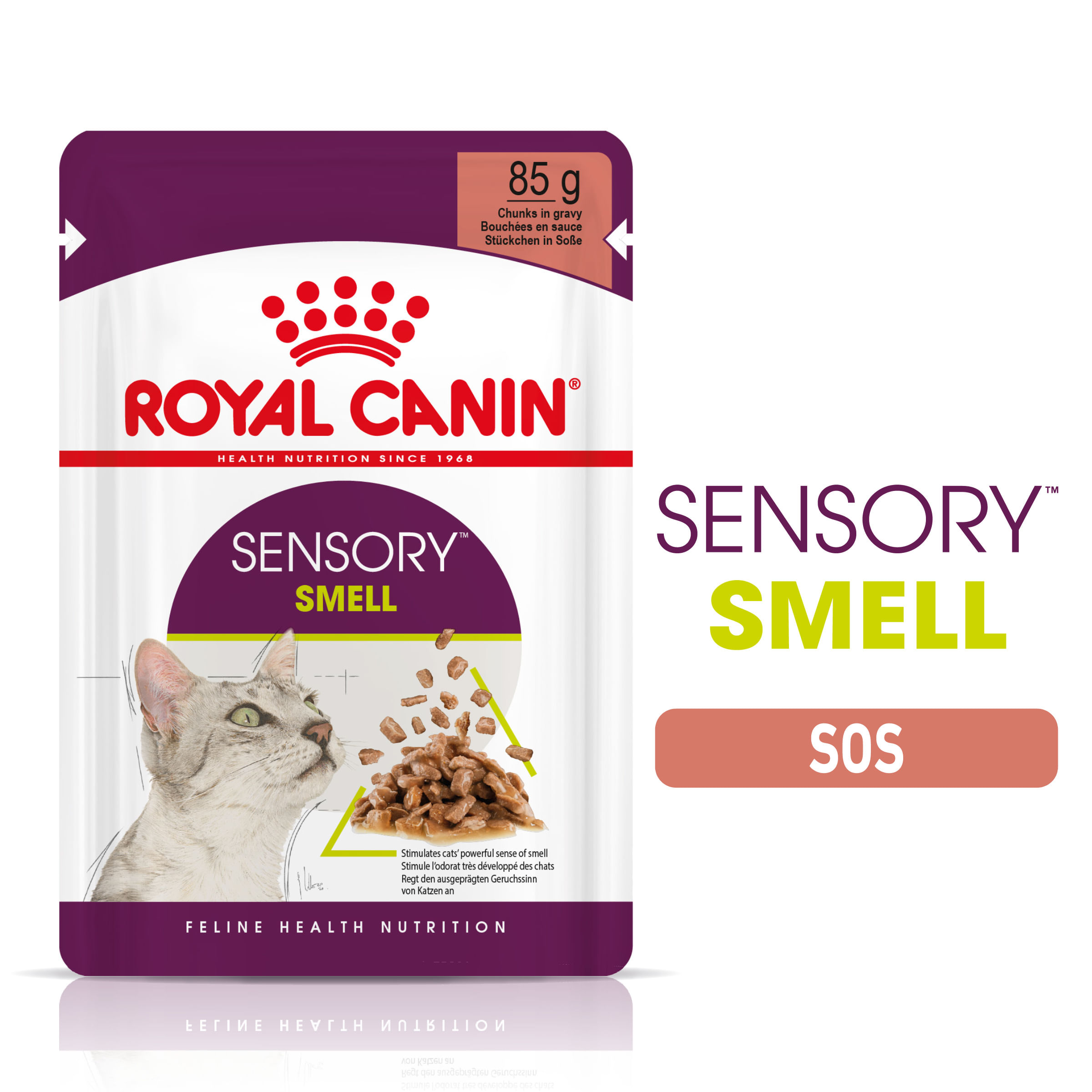 ROYAL CANIN Sensory Smell hrană umedă pisici stimularea mirosului (în sos), 85g