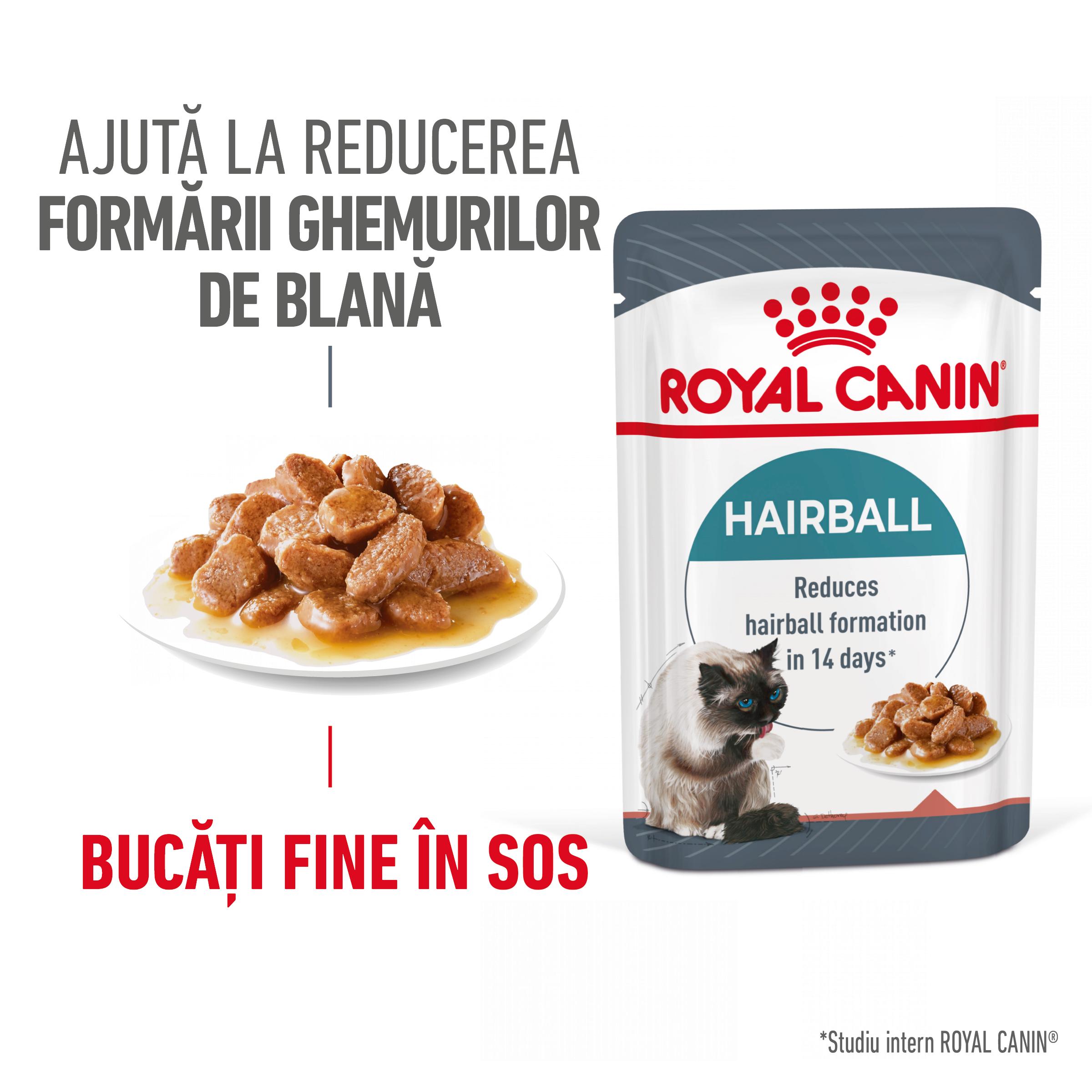 ROYAL CANIN Hairball Care Adult, hrană umedă pisici, limitarea ghemurilor de blană, (în sos), 85g