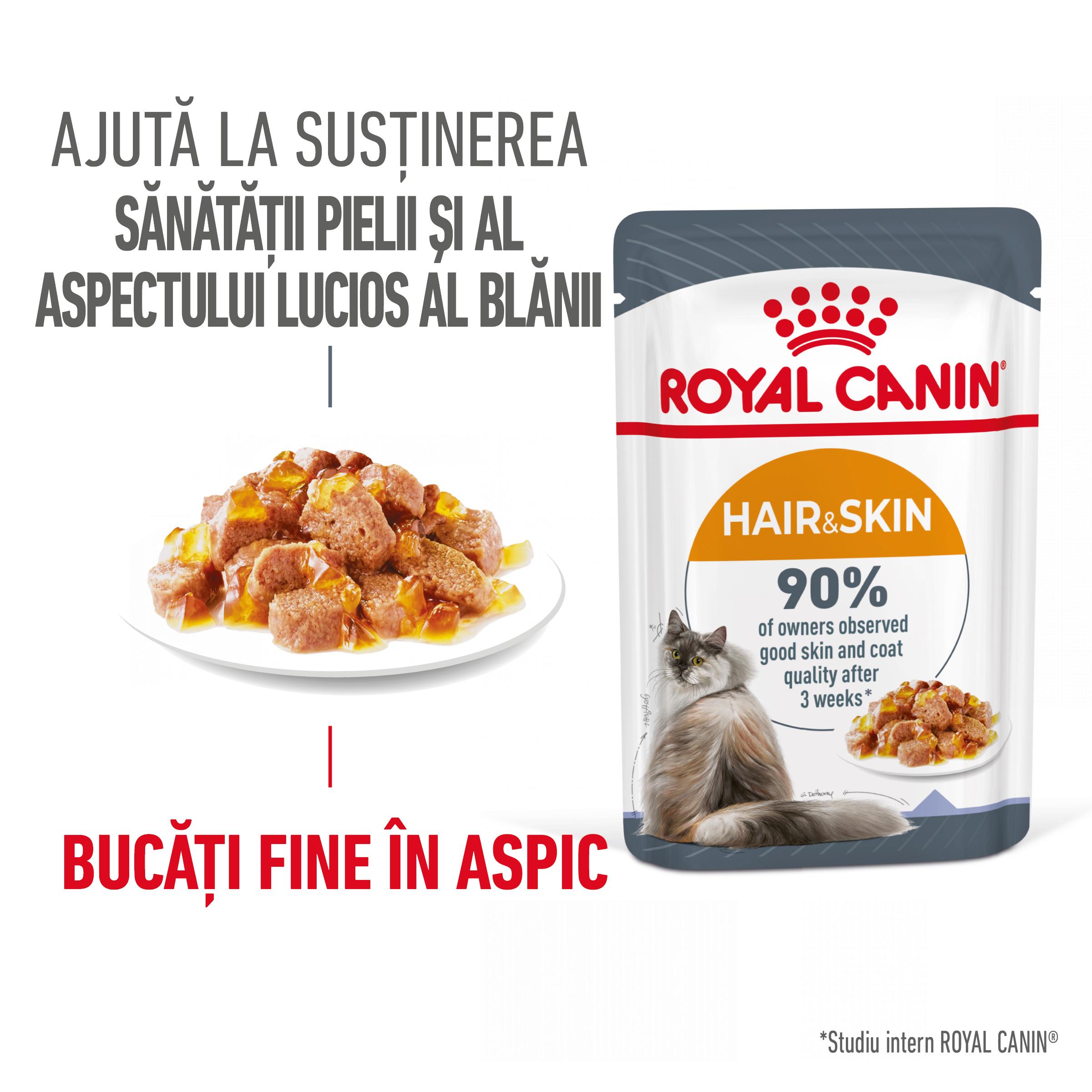 ROYAL CANIN Hair&Skin Care Adult hrană umedă pisici piele & blană (în aspic), 85g