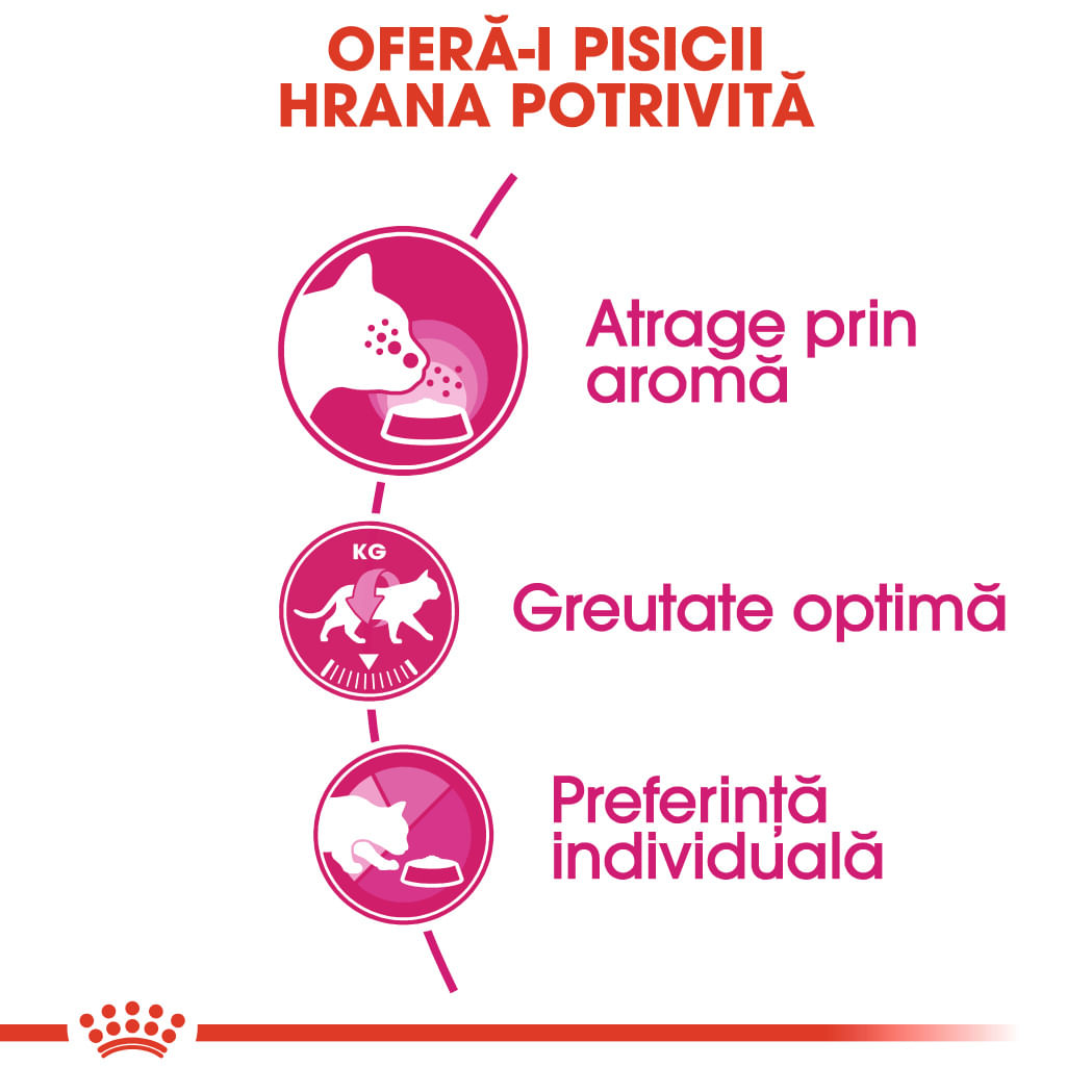 ROYAL CANIN Exigent Aroma Adult hrană uscată pisici apetit capricios, 2kg - 3 | YEO