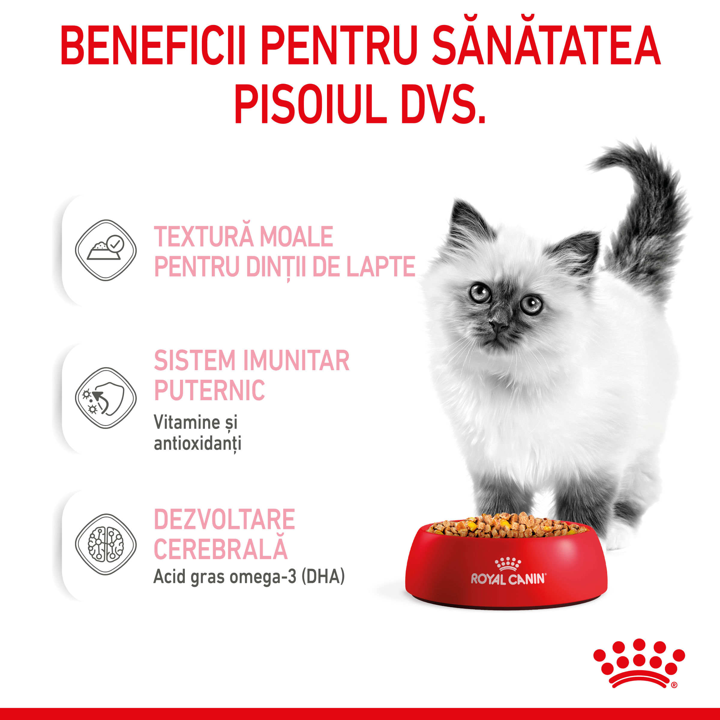 ROYAL CANIN Kitten, hrană umedă pisici, (în aspic), 85g - 3 | YEO