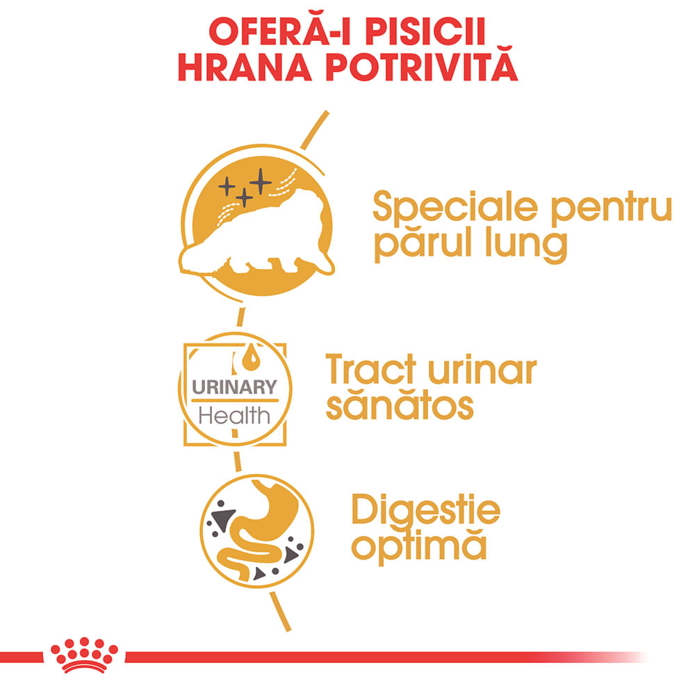 ROYAL CANIN Persian Adult, hrană umedă pisici, (pate), 85g - 3 | YEO