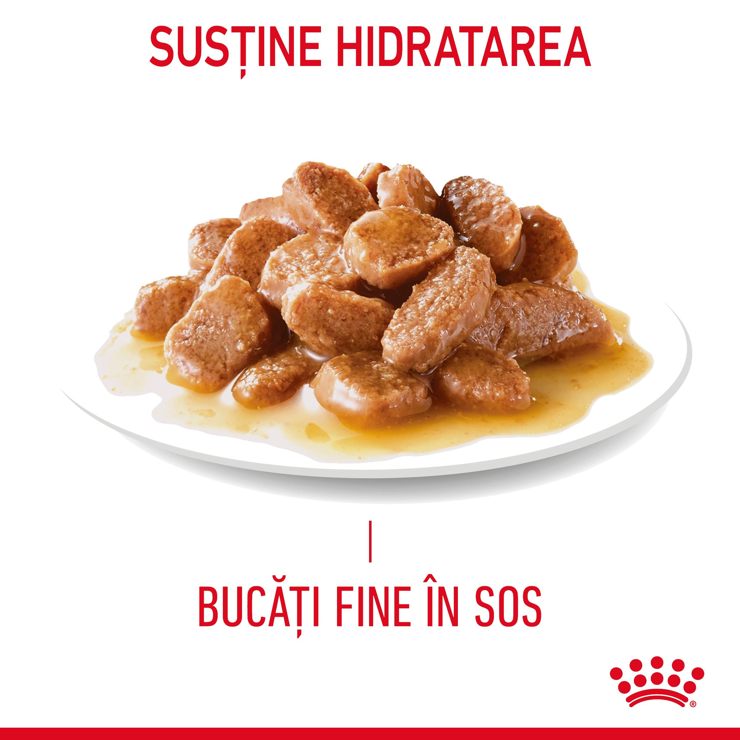 ROYAL CANIN Appetite Control Care Adult hrană umedă pisici reglarea apetitului (în sos), 85g